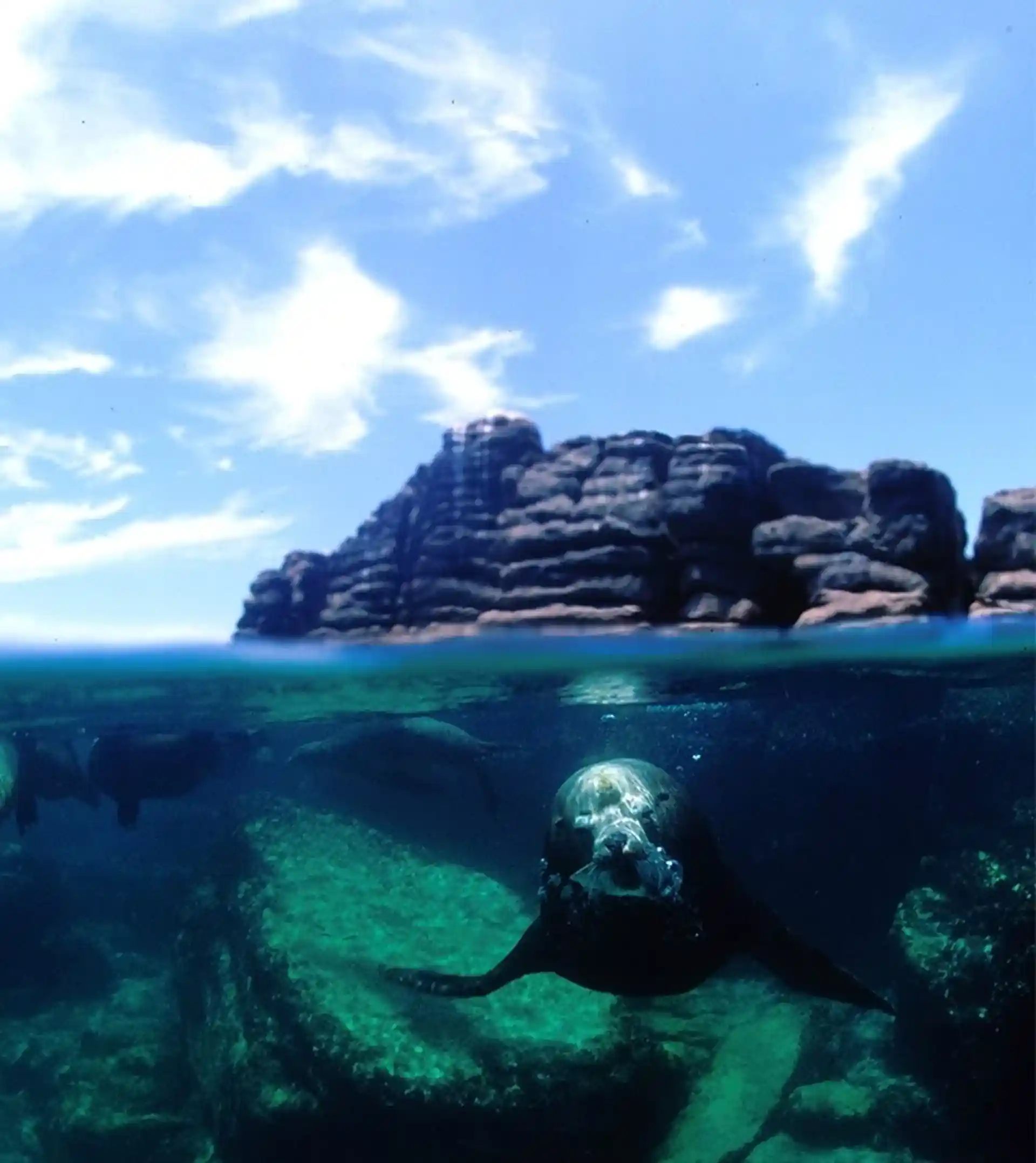 Foto de la actividad