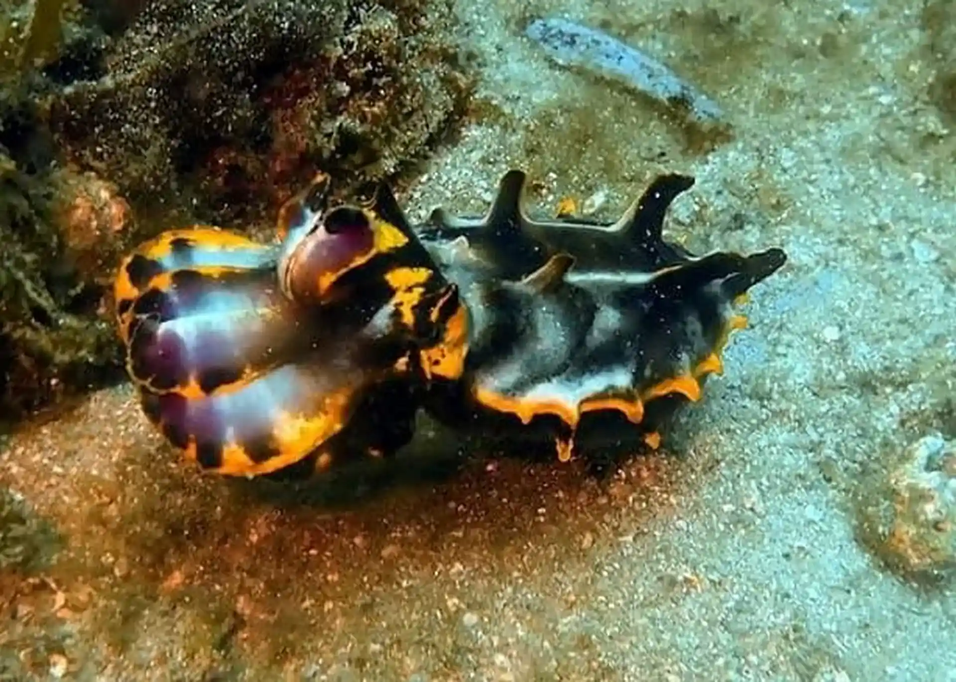 Foto des Tauchplatzes