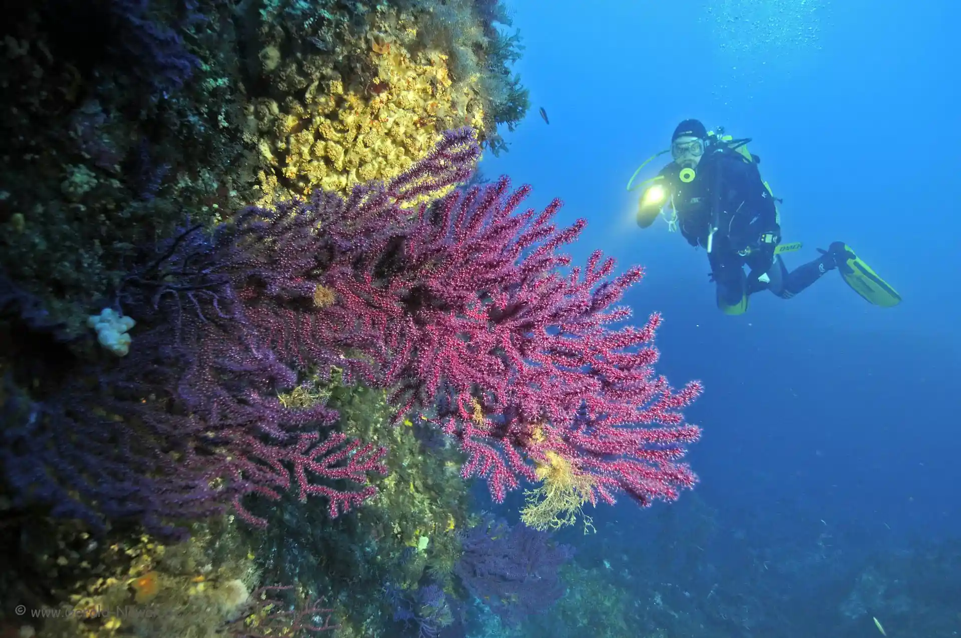 Dive site photo