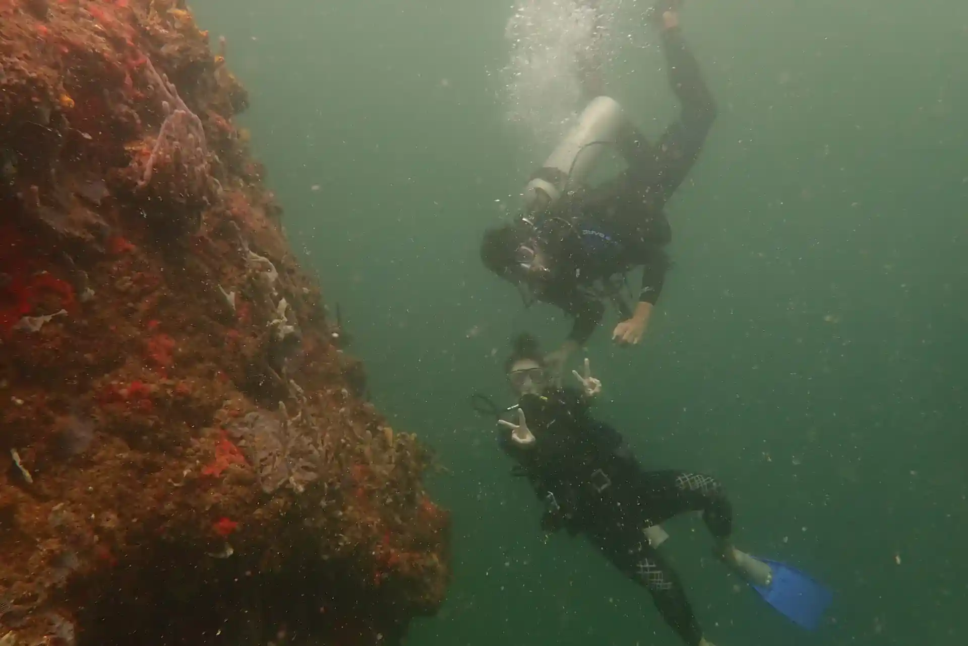 Have your first diving experience escorted by one of our instructors