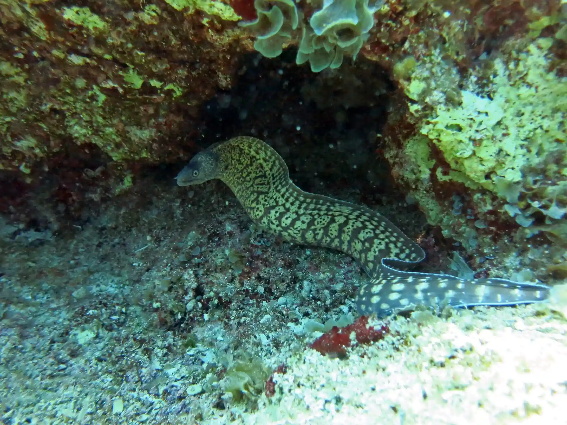 Dive site photo