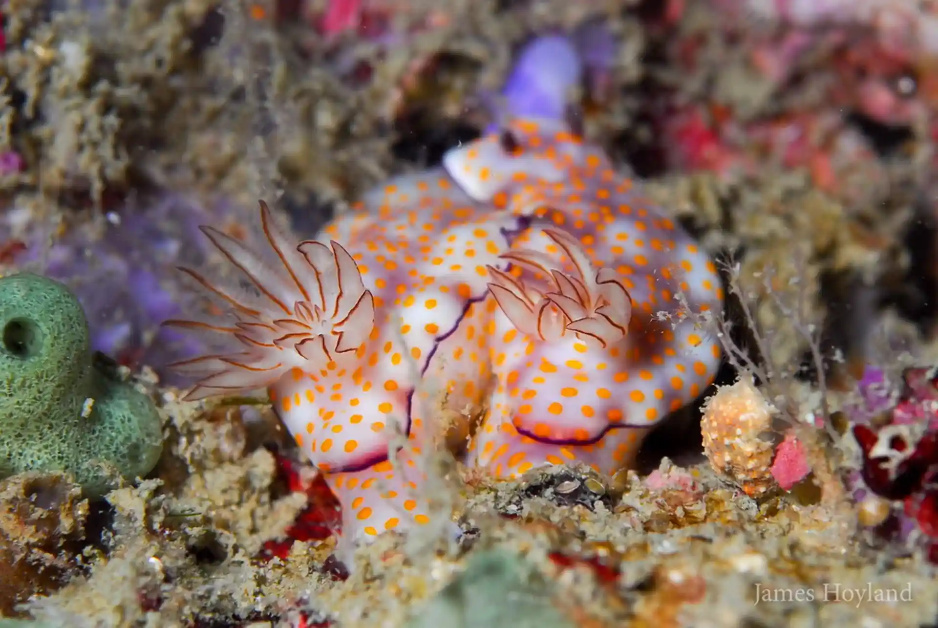 다이빙 포인트 사진