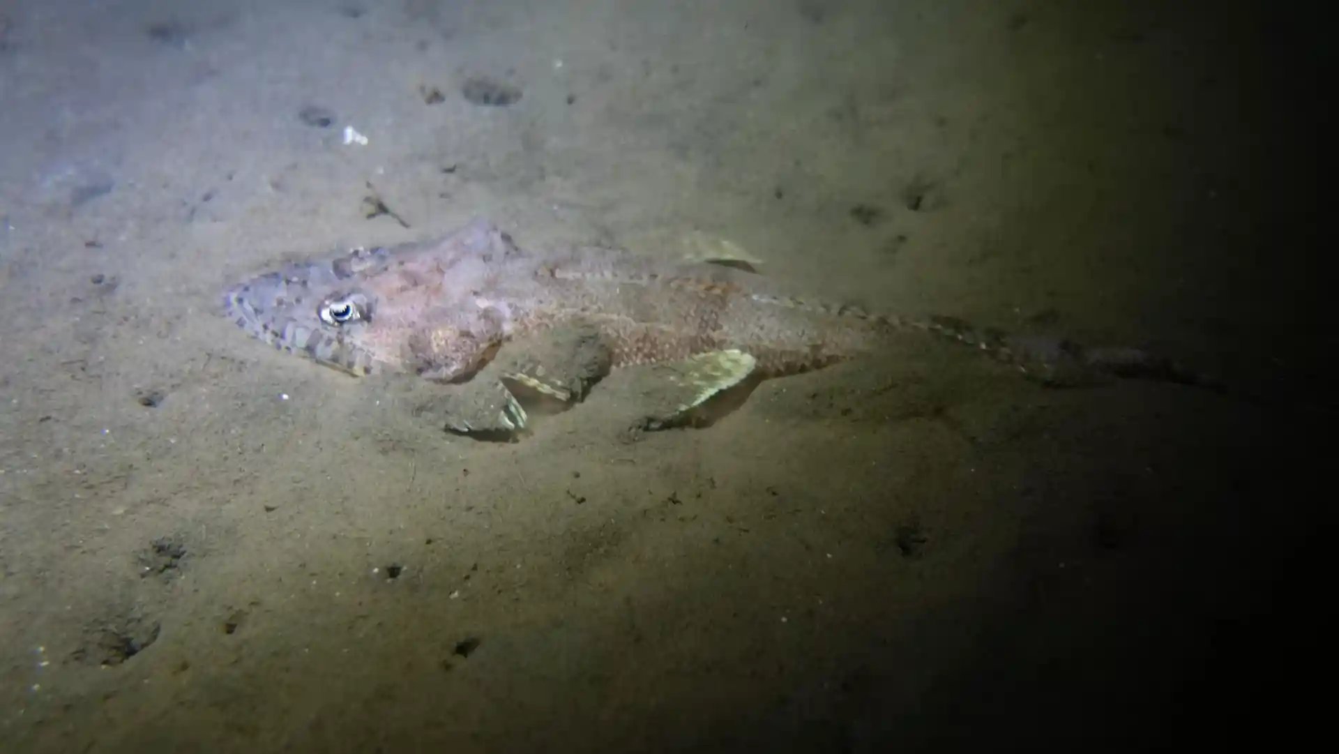 다이빙 포인트 사진