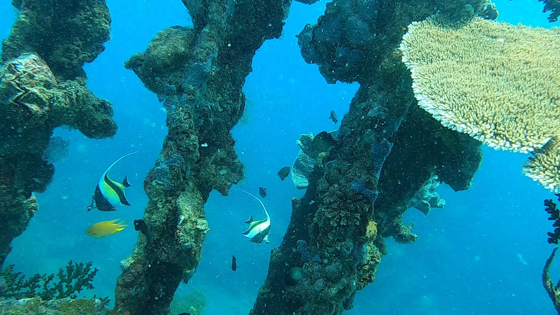 Photo du magasin de plongée