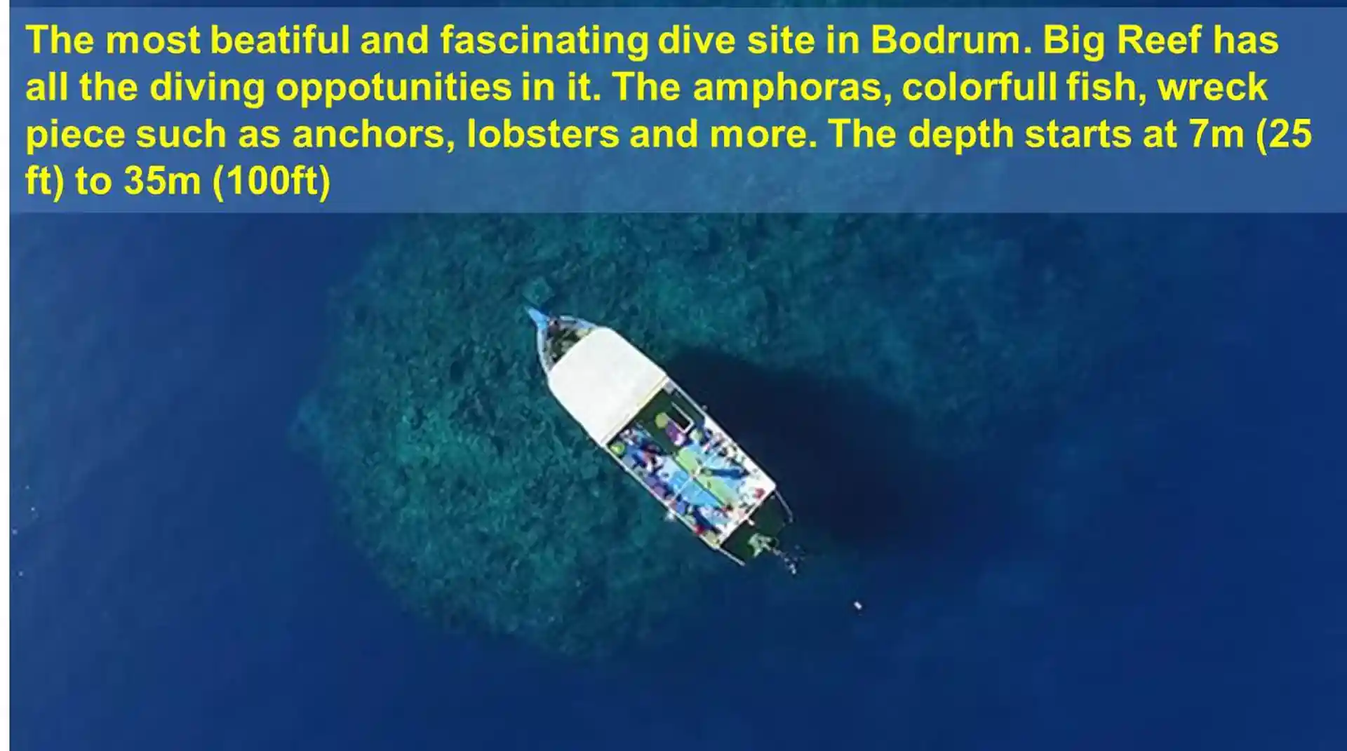 ダイビングサイトの写真