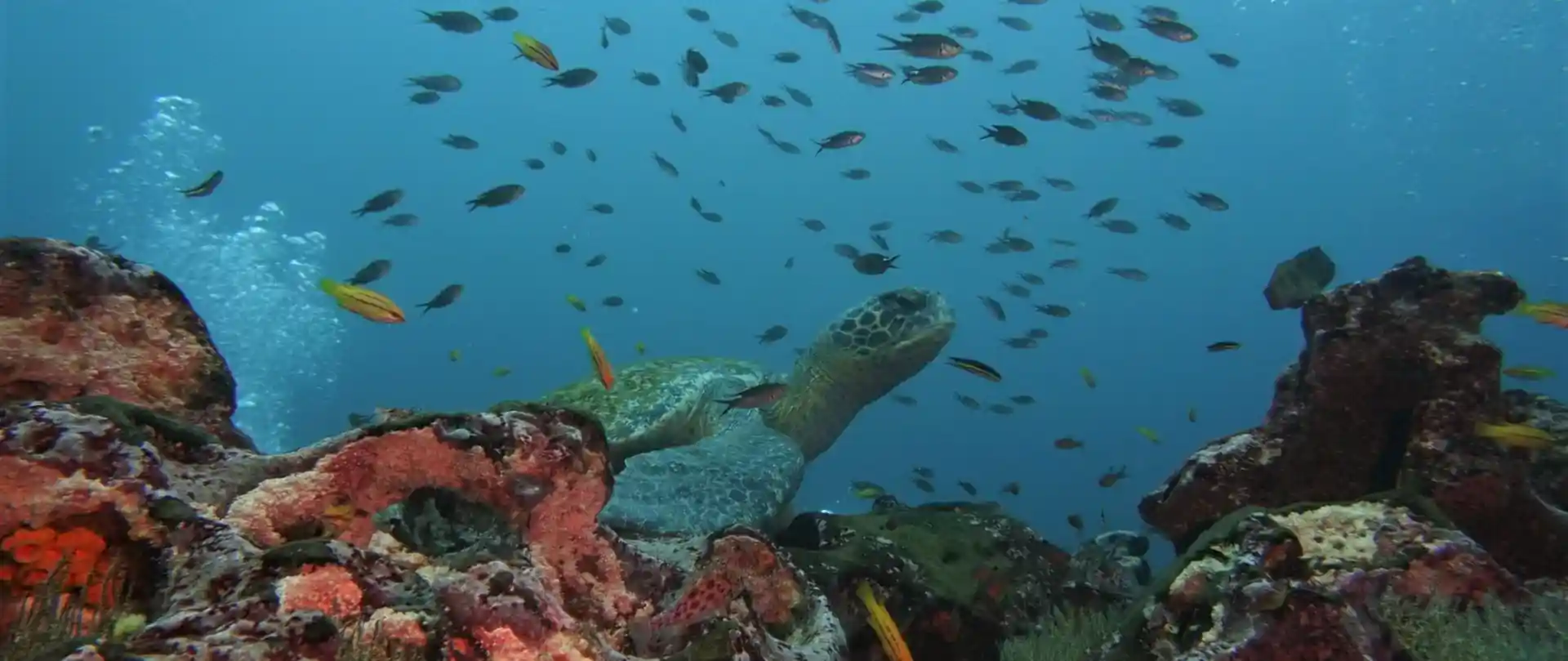 Dive site photo