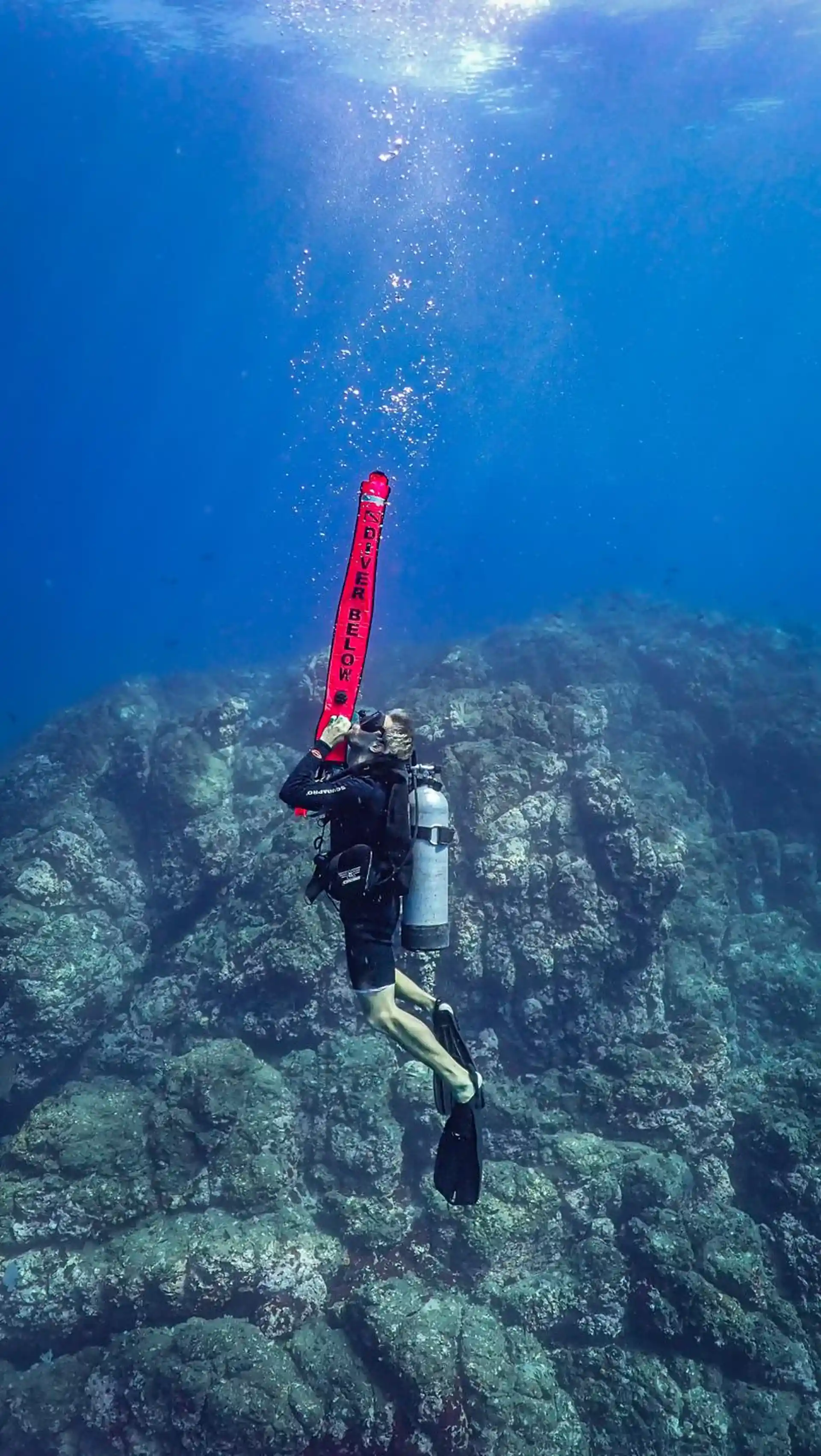Dive shop photo