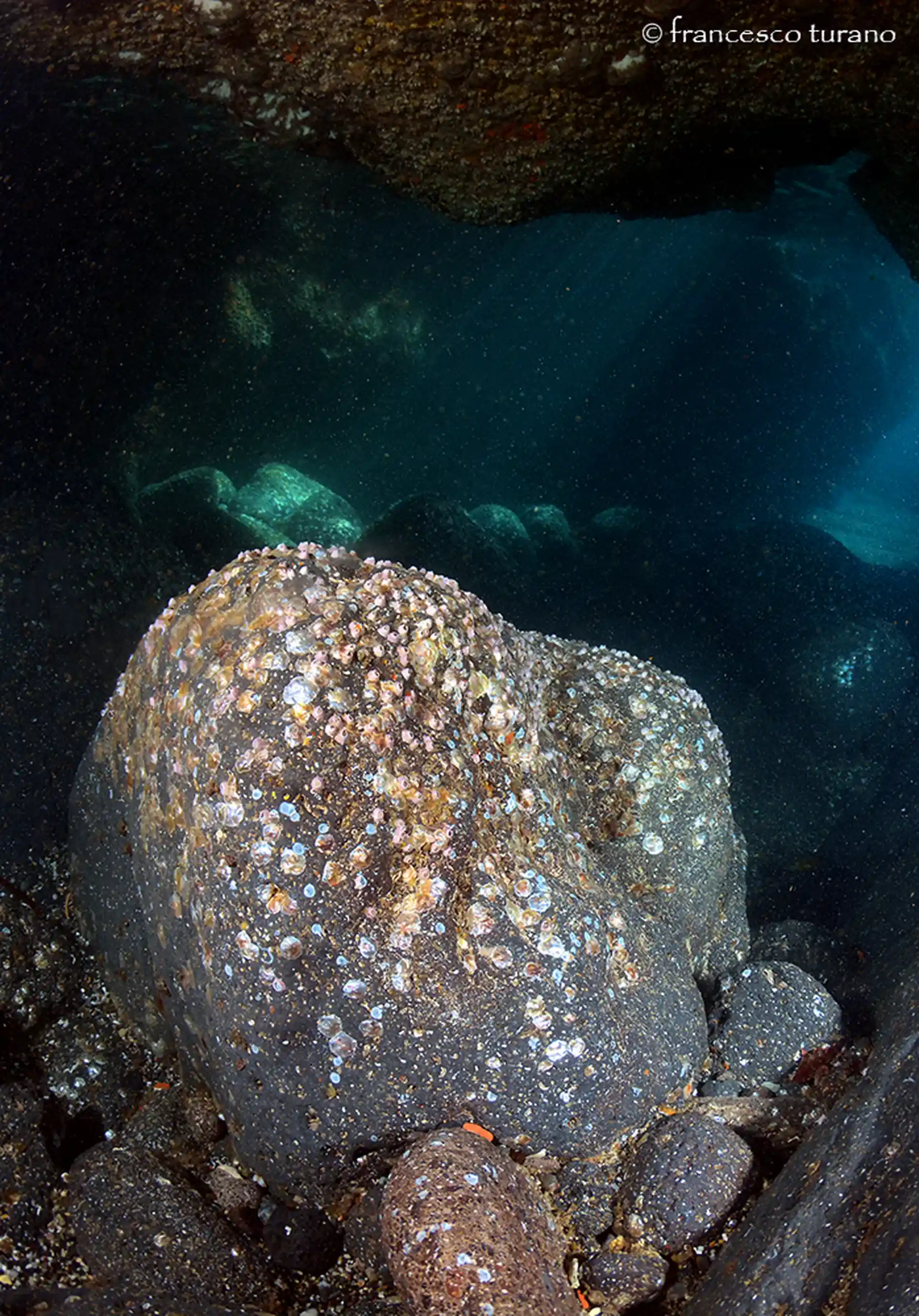 ダイビングサイトの写真