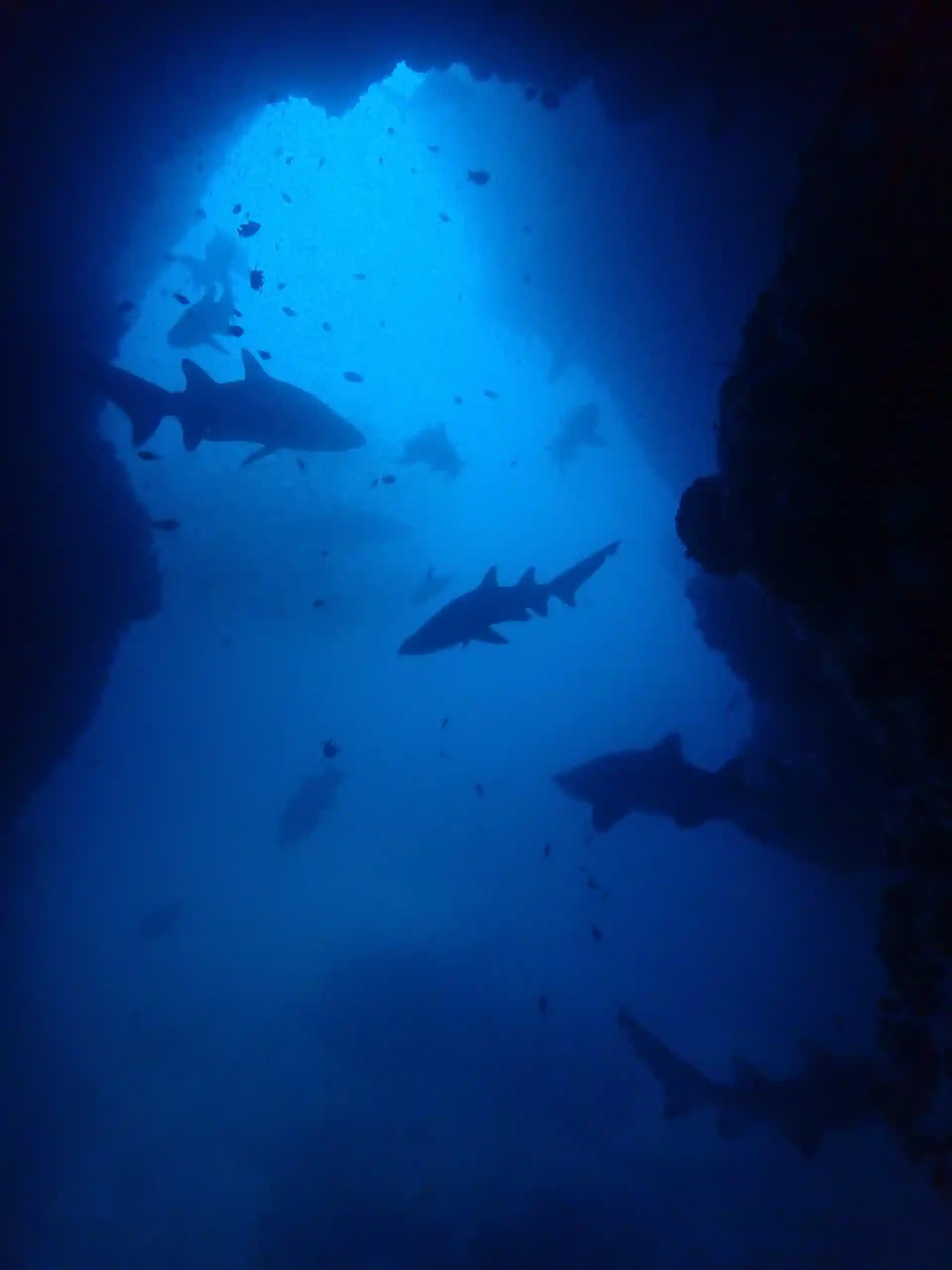 다이빙 포인트 사진