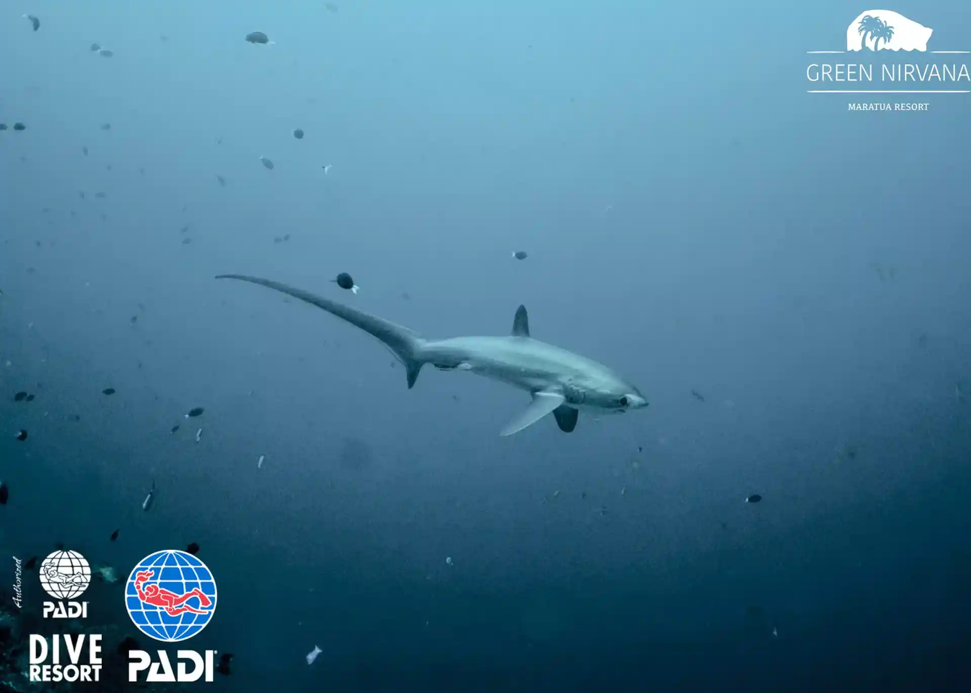 Dive site photo
