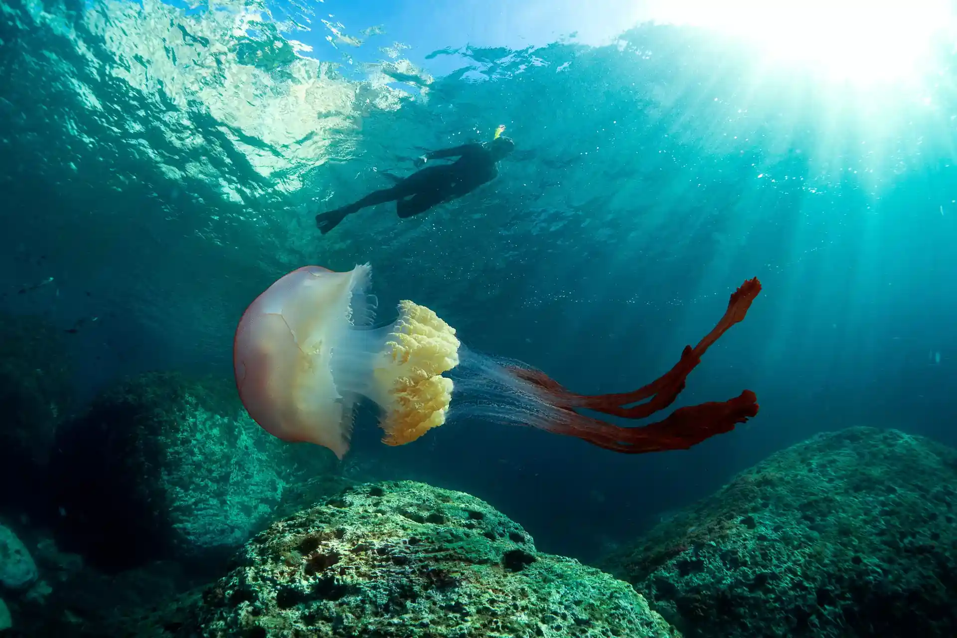 Photo du site de plongée