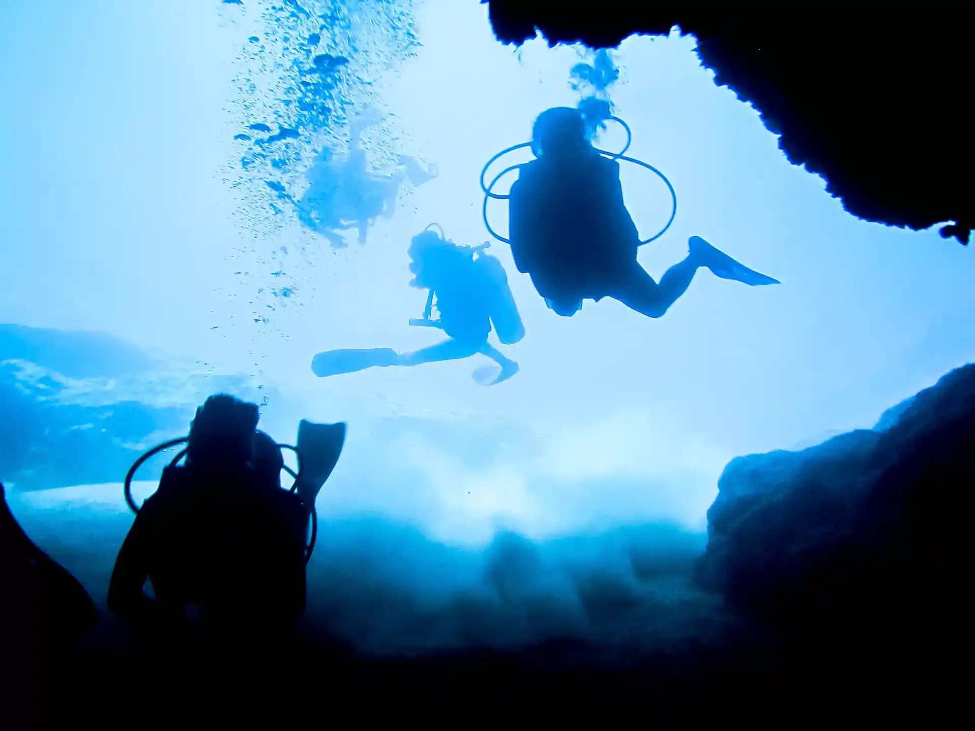 Dive into Sayulita's beauty twice a day! Oceano Adventures brings you 2 daily dives, premium gear, and the best crew in the bay.
