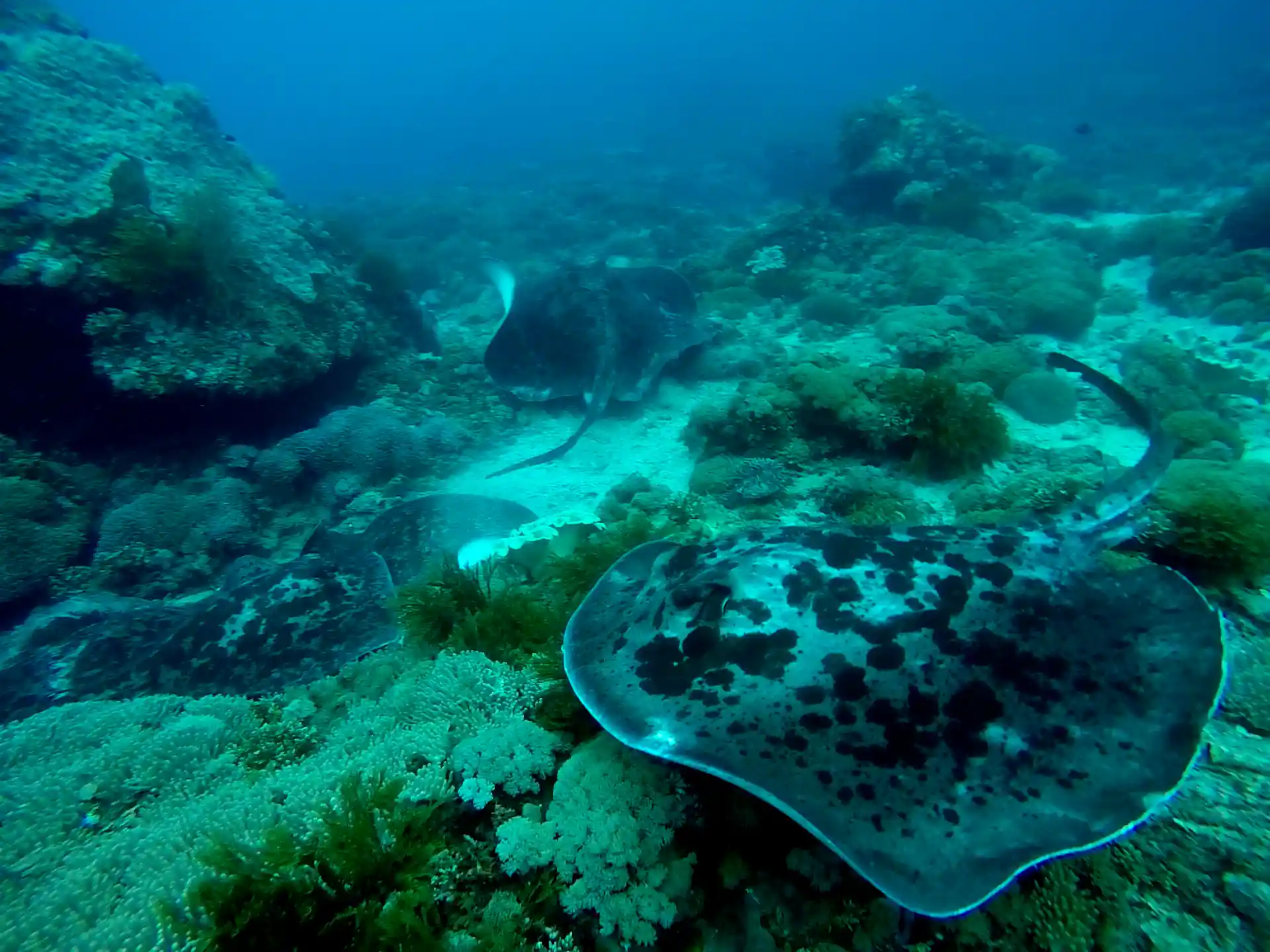 Foto van de duiklocatie