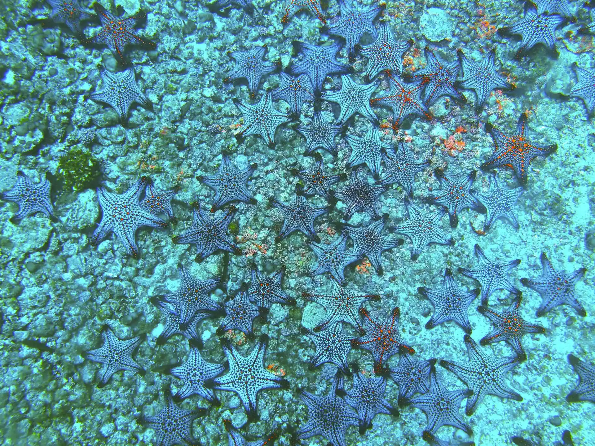 Dive site photo