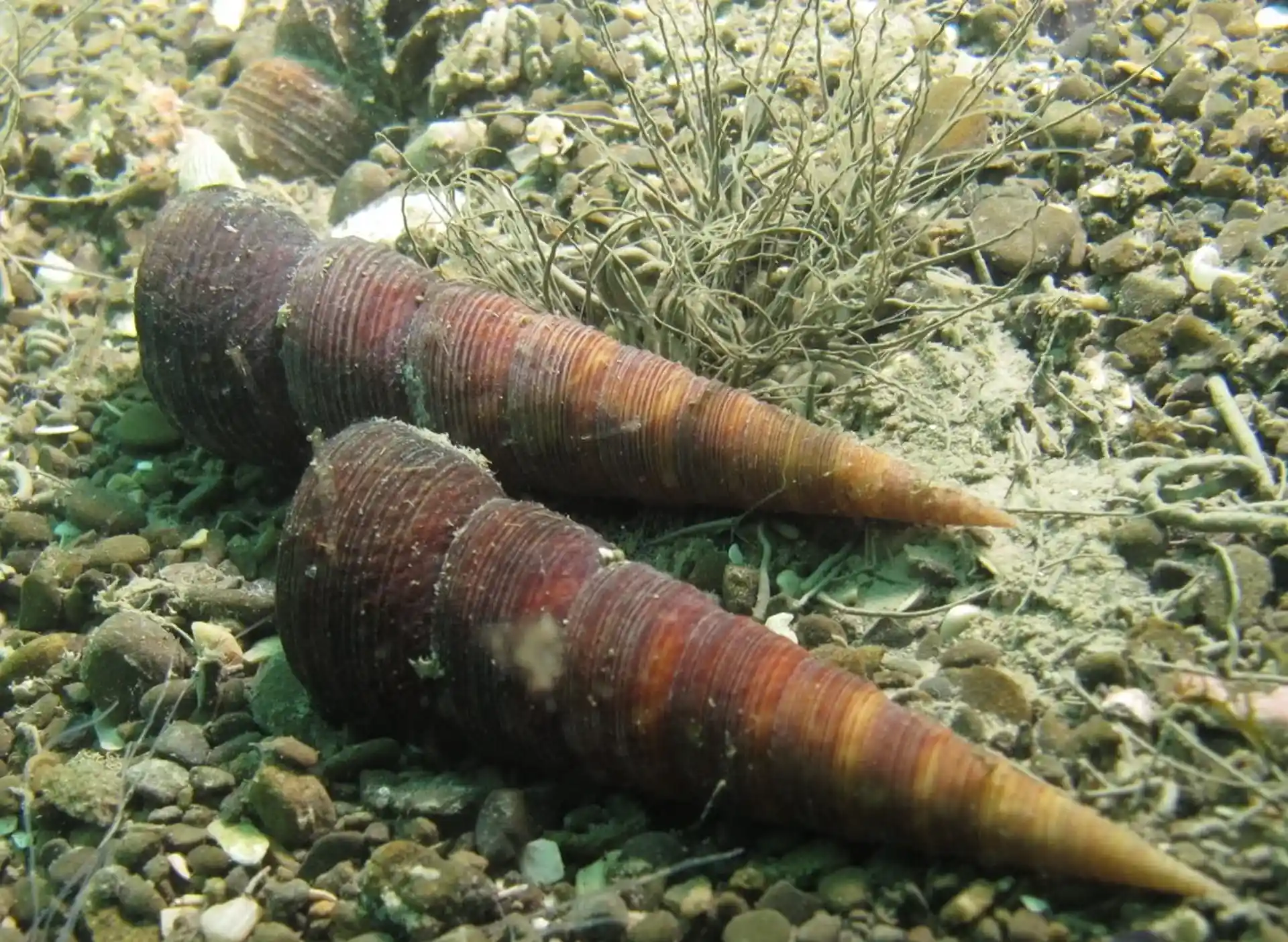 Dive site photo