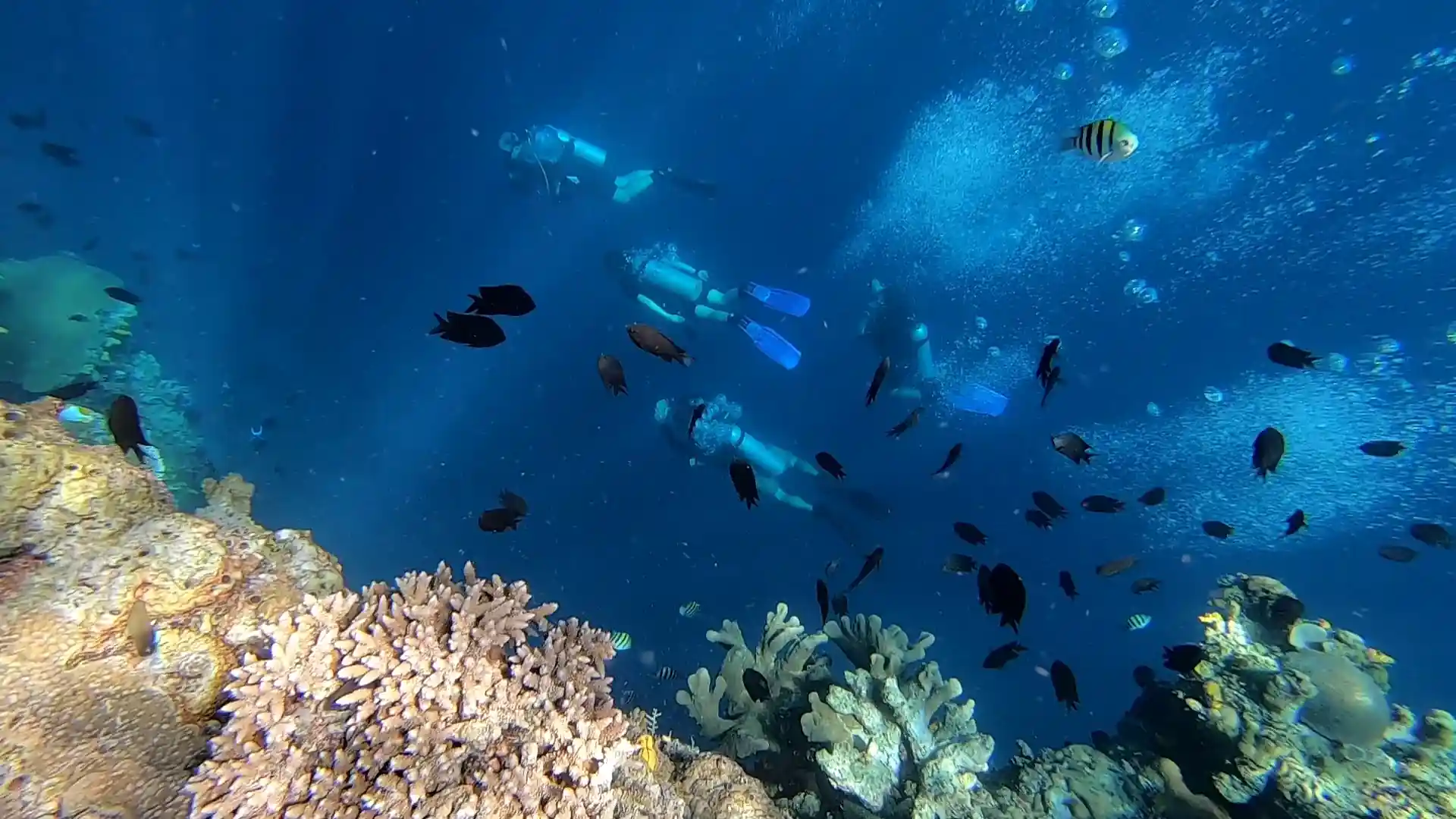 Dive site photo
