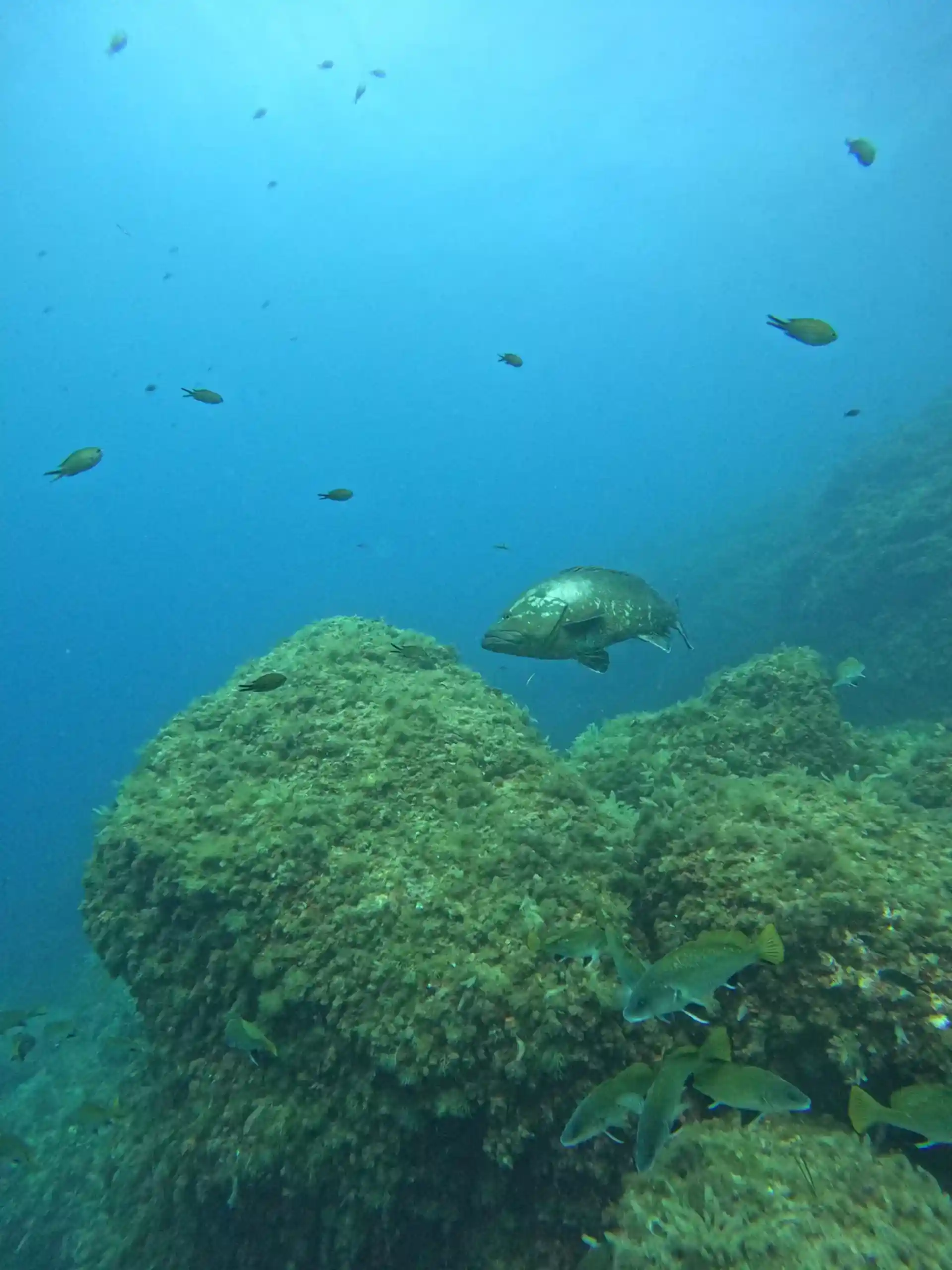 Dive site photo