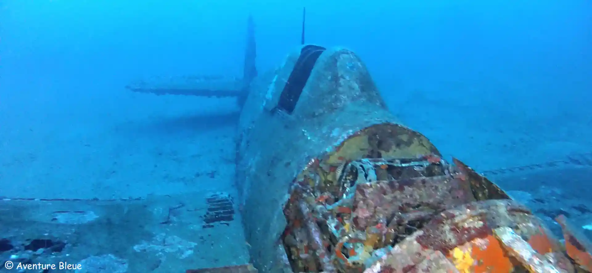 Foto des Tauchplatzes