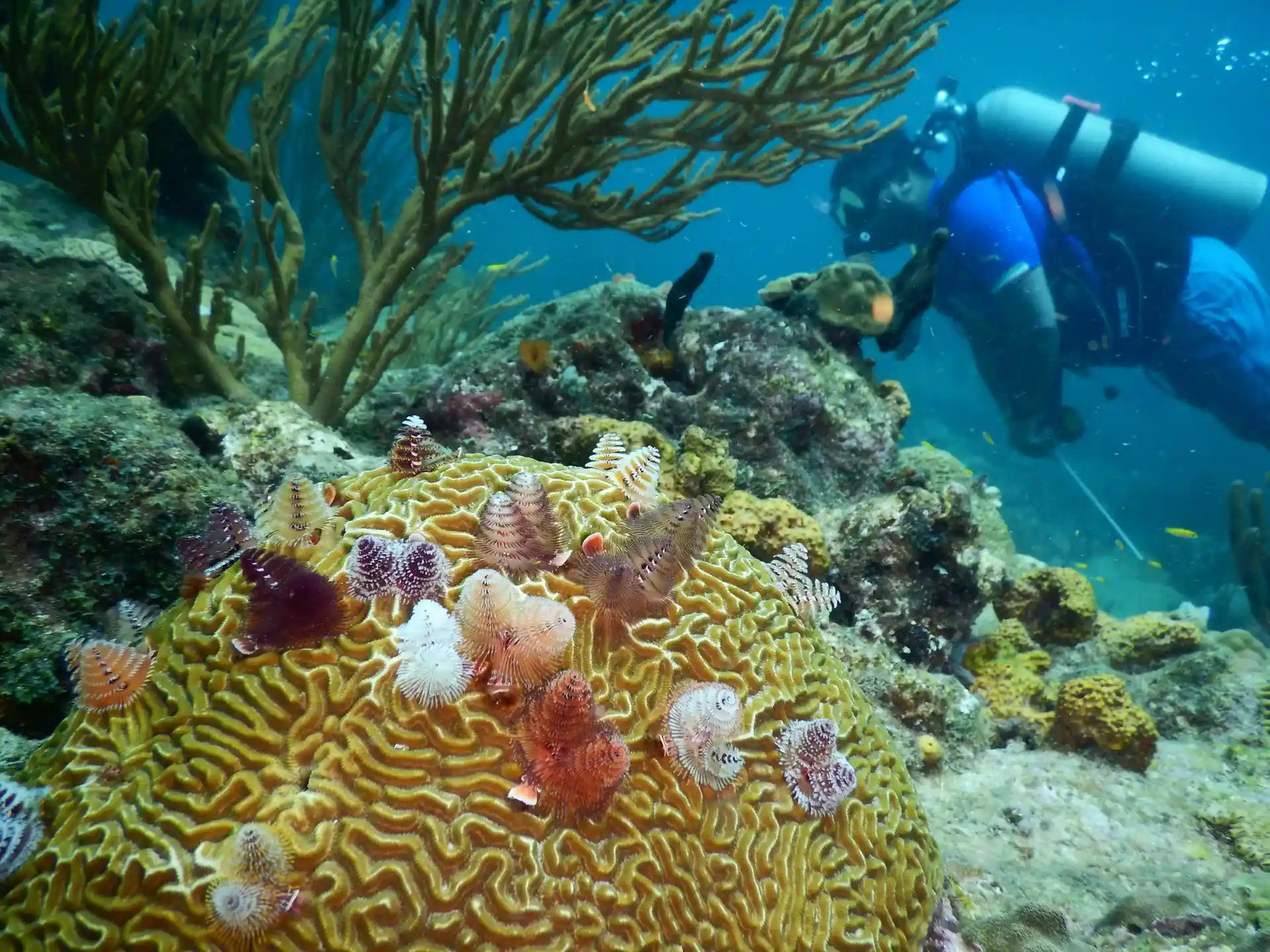 Dive site photo