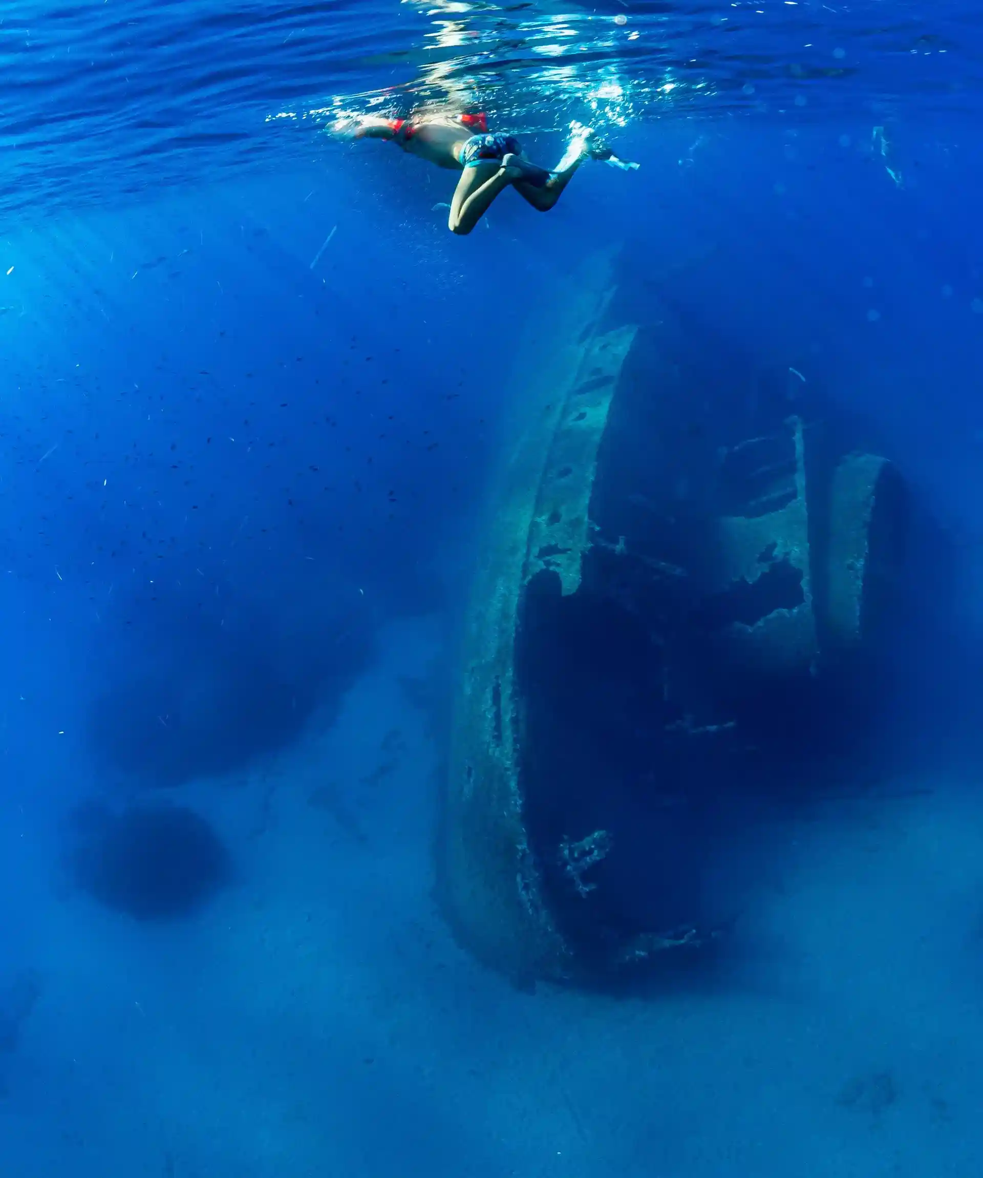 Adagiato su un fonadle di sabbia chiara a - 12 metri di profondità, il relitto di Pomonte è uno spettacolo di giochi di luce e vita marina che devi assolutamente vedere!