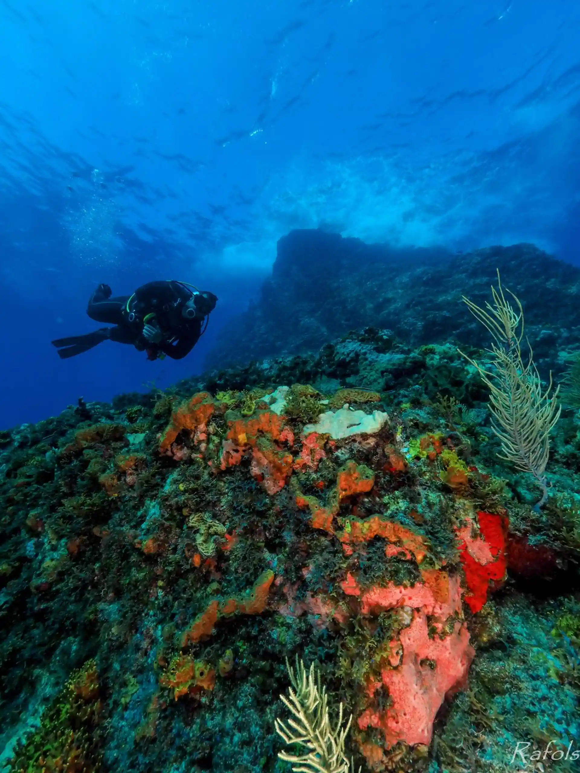 Dive site photo
