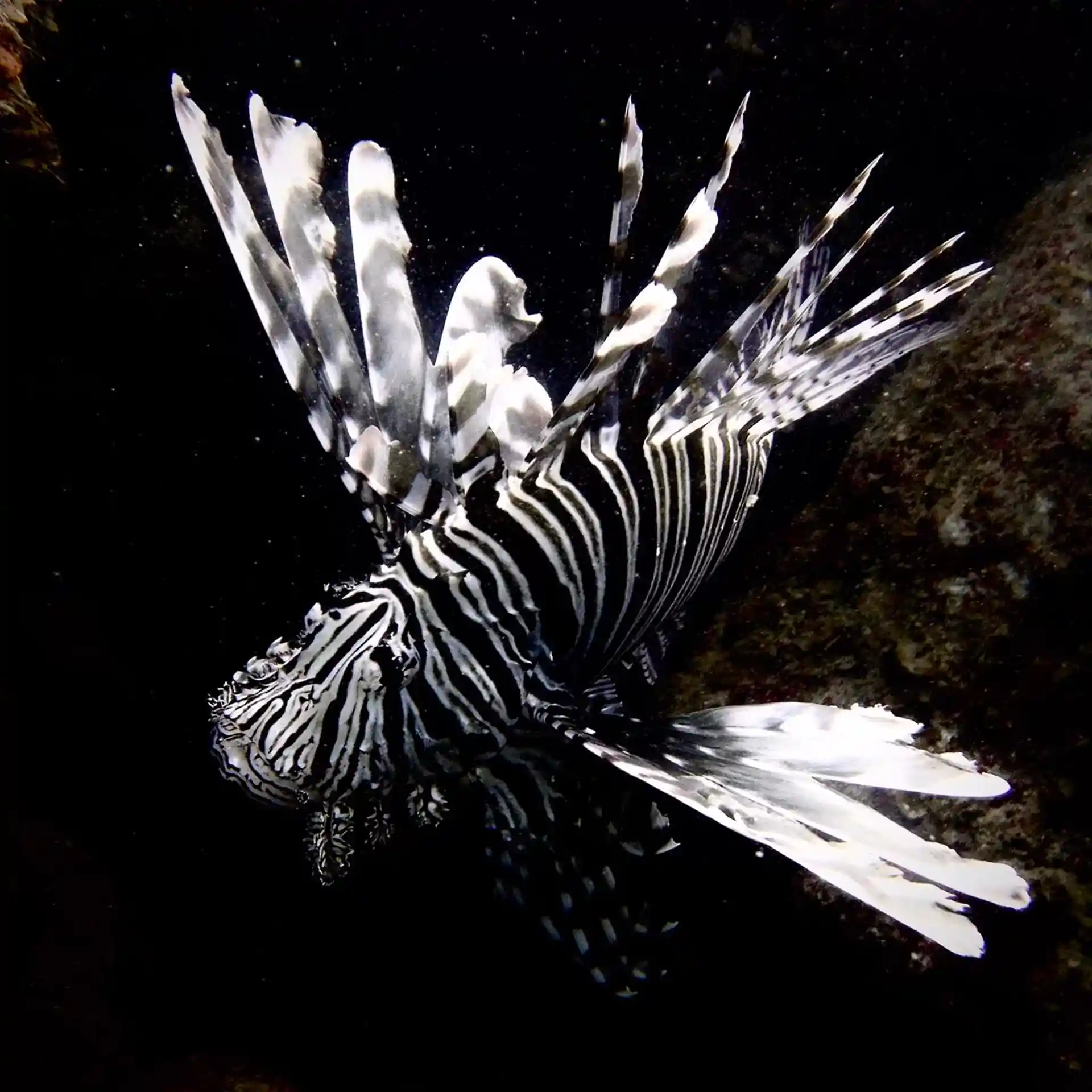 Dive site photo
