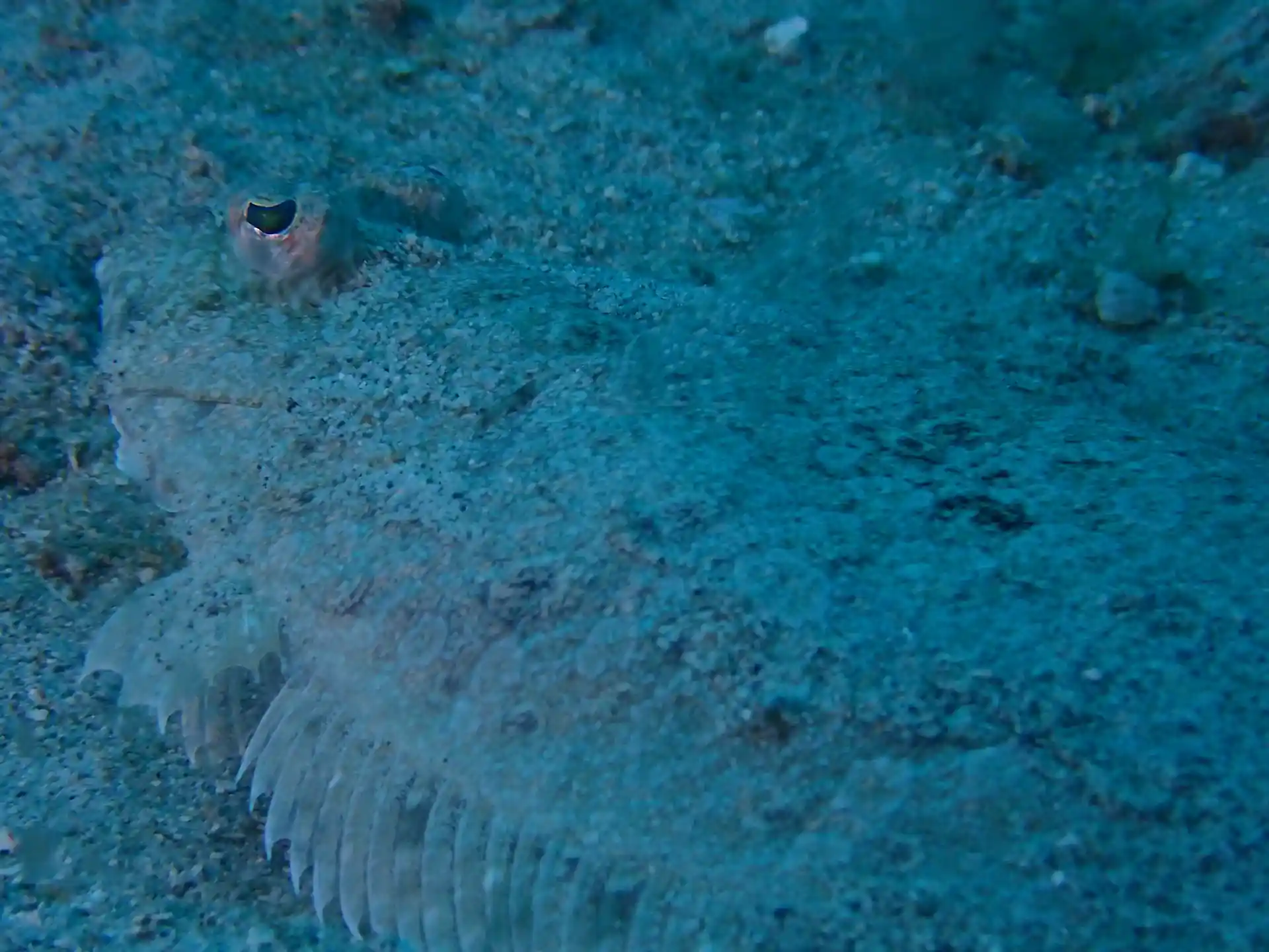 Foto van de duiklocatie