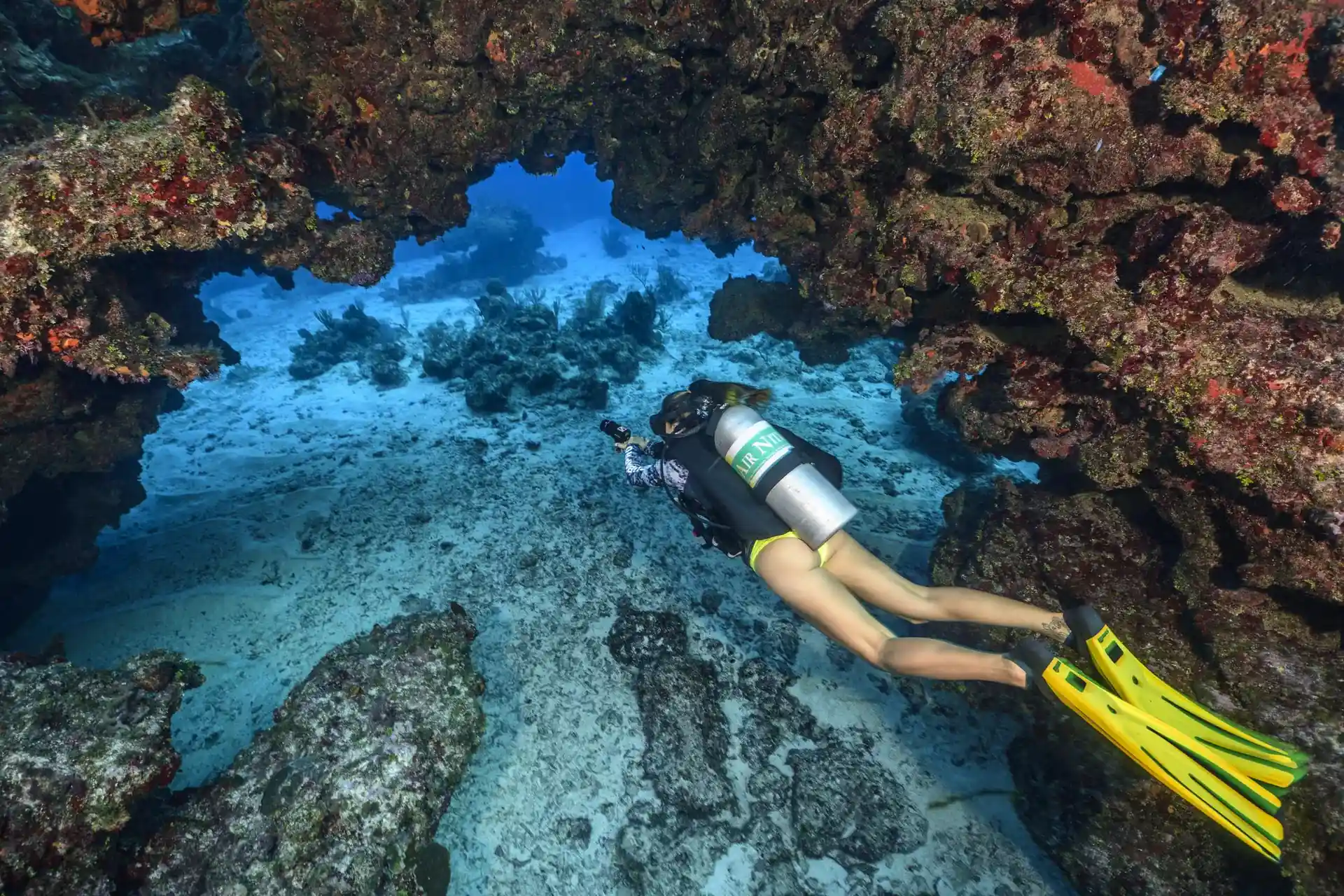 Dive site photo