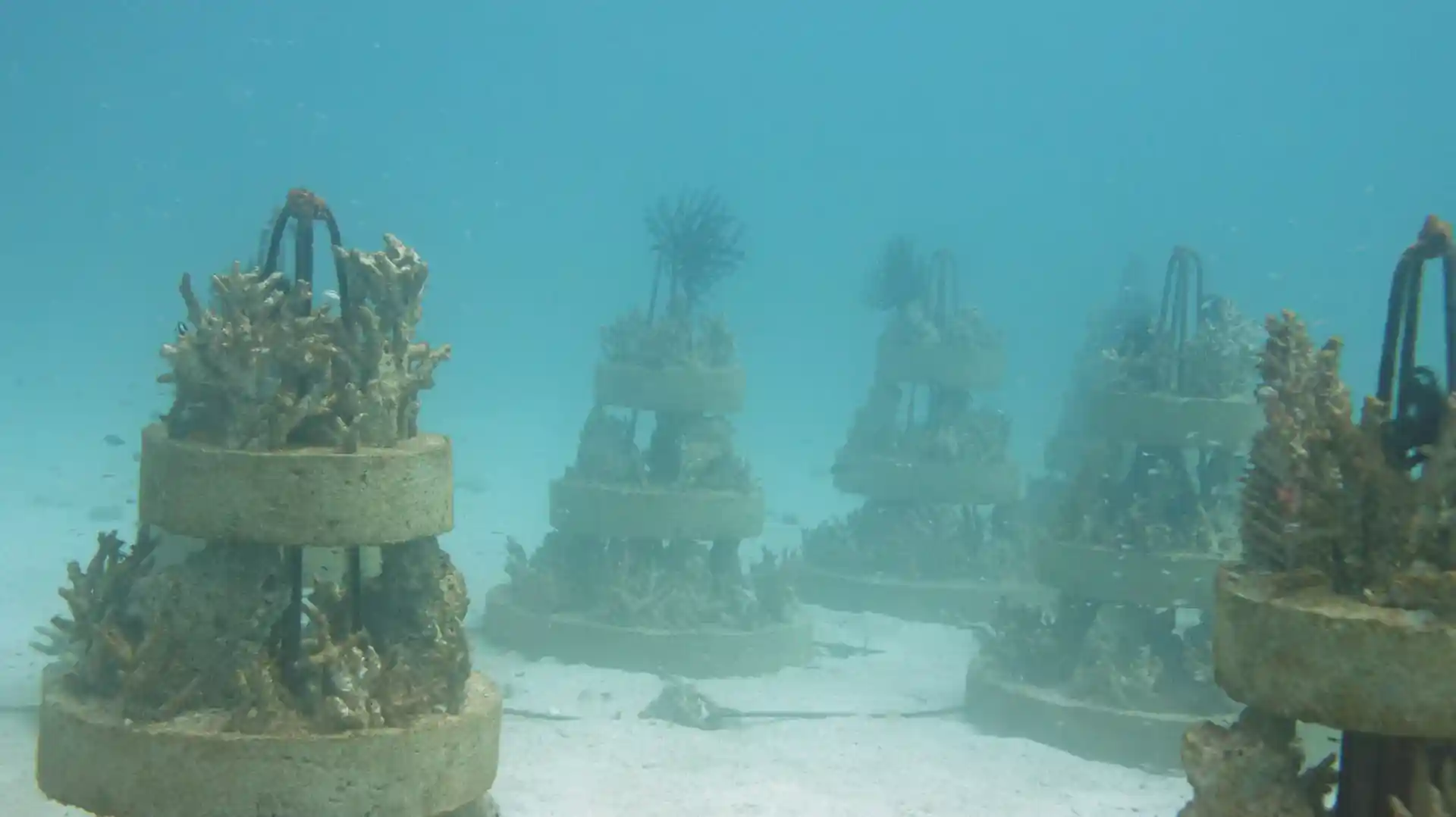 Photo du site de plongée