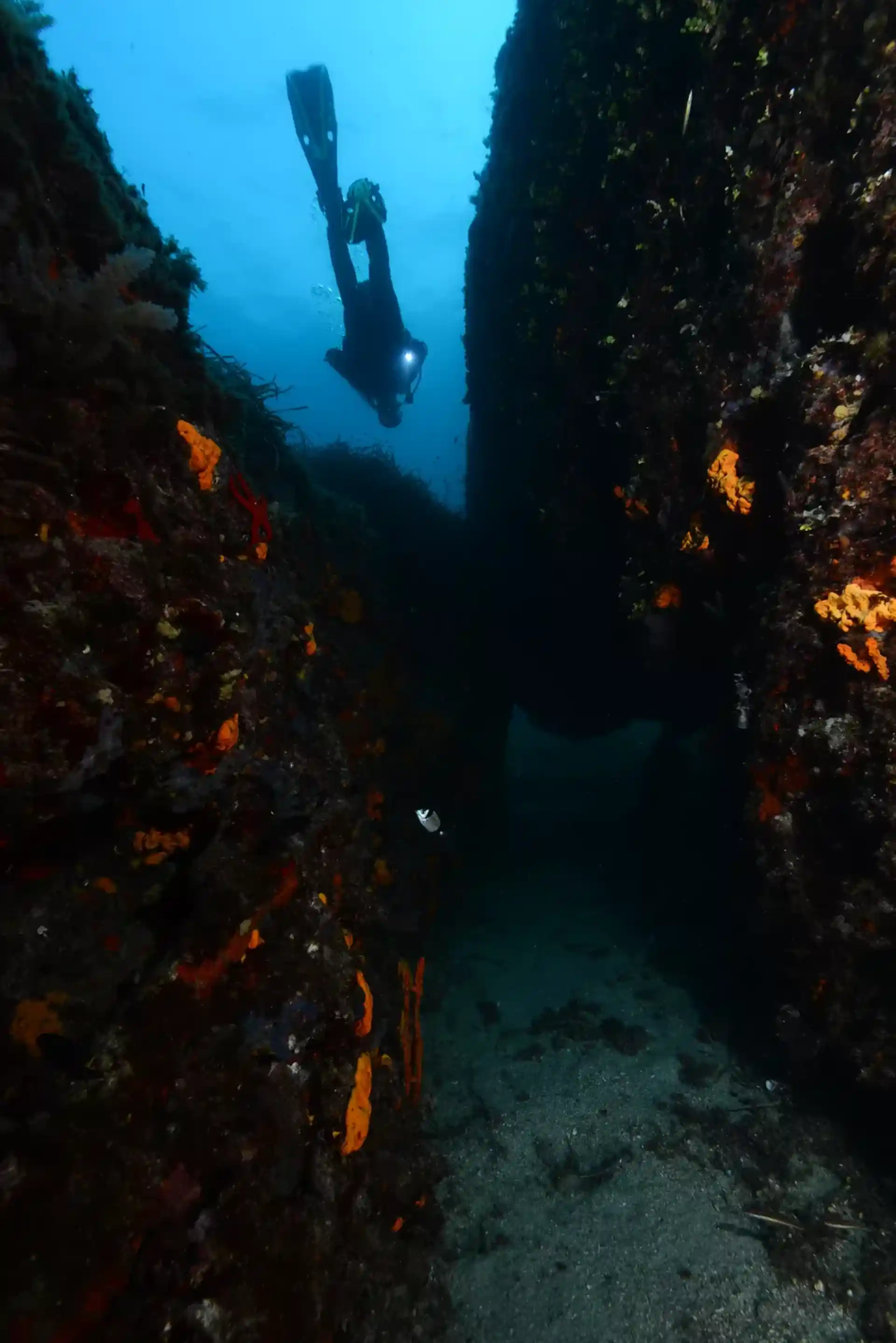Dive site photo