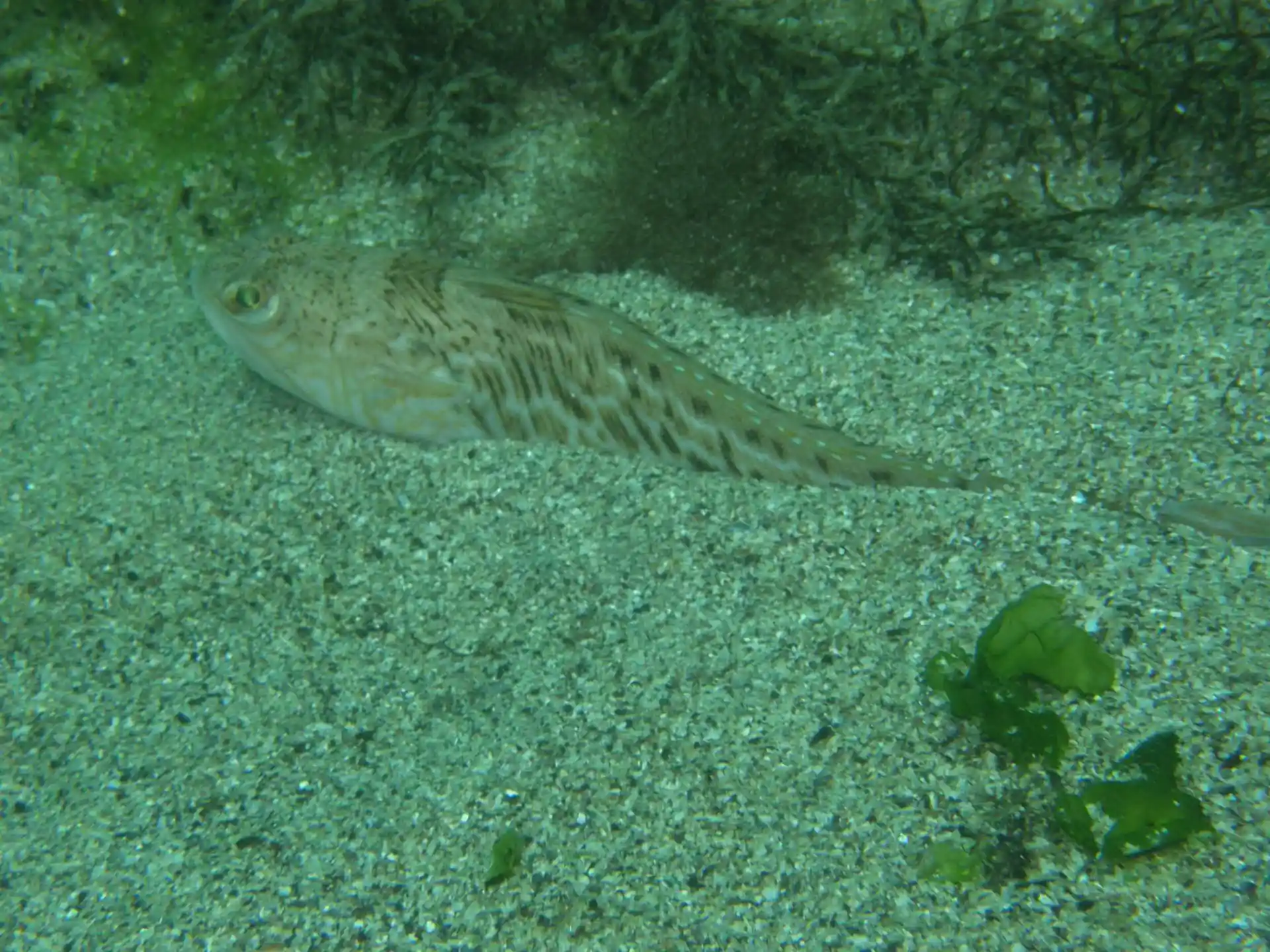 Dive site photo