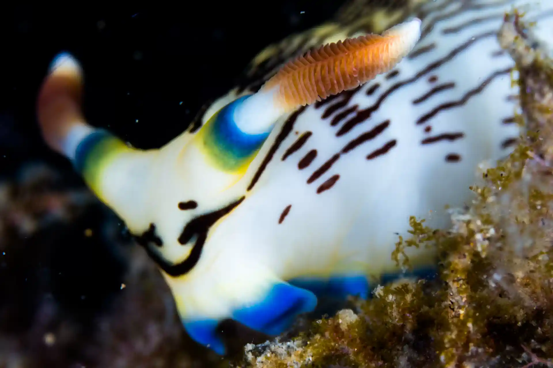 Foto des Tauchplatzes