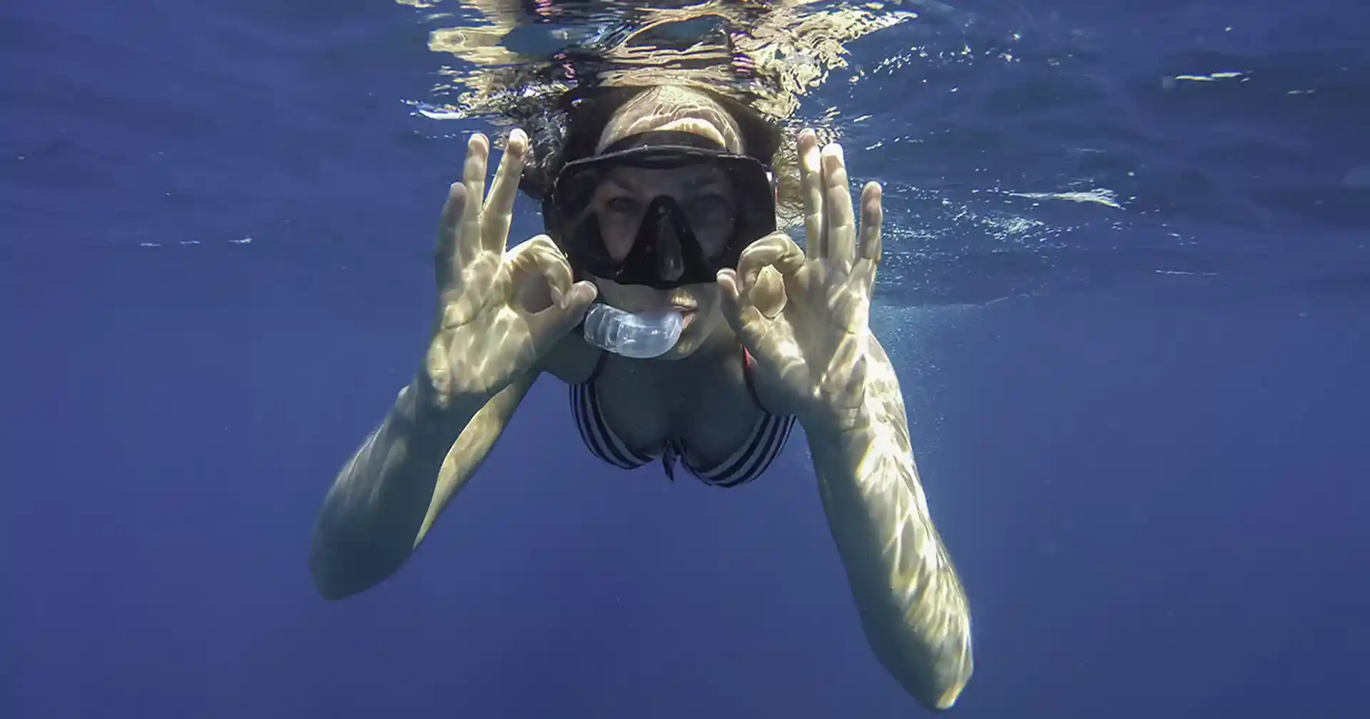 Foto dell'attività