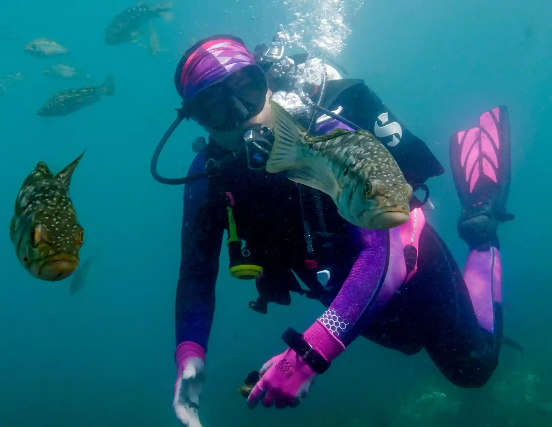 Foto des Tauchplatzes