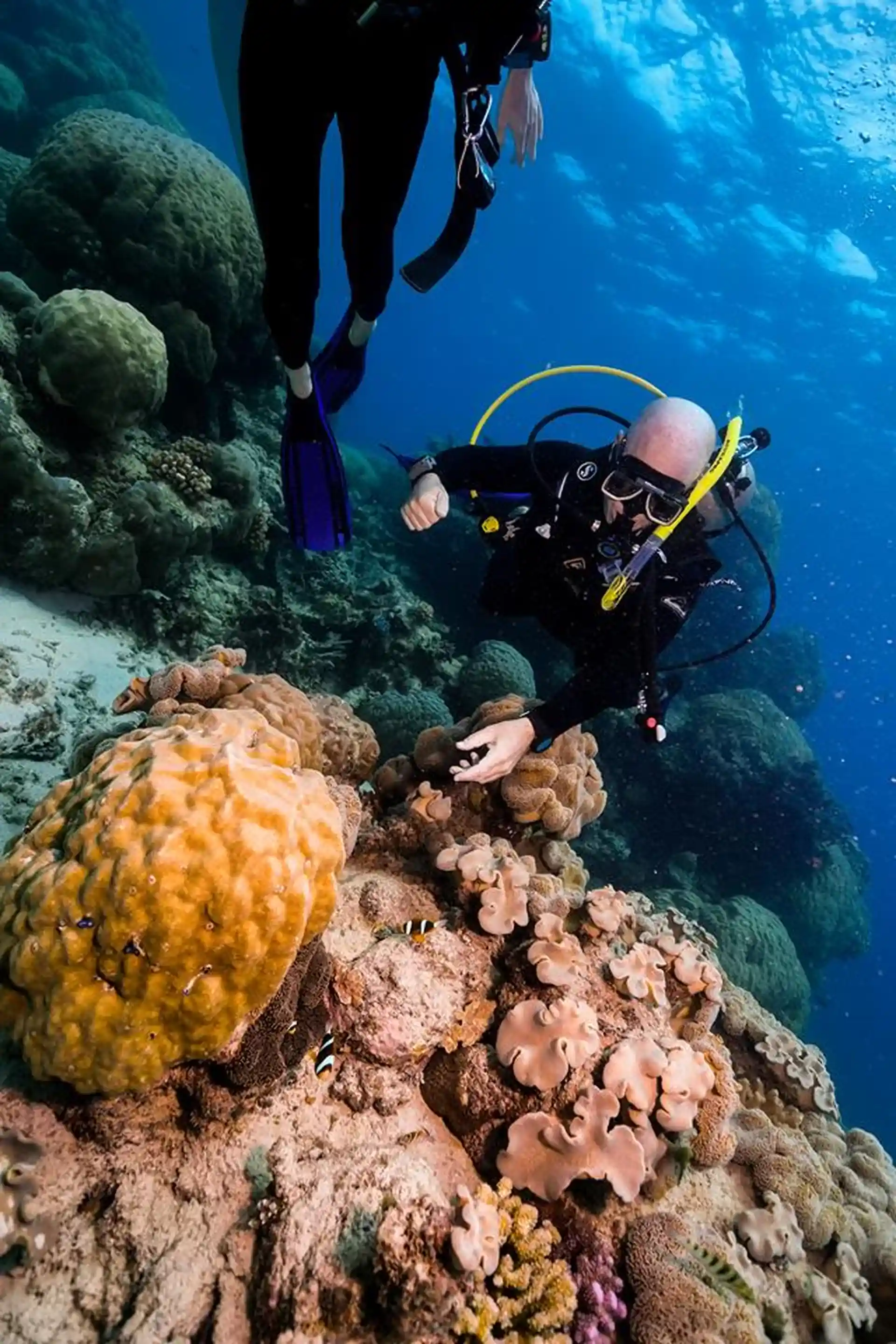 Dive site photo