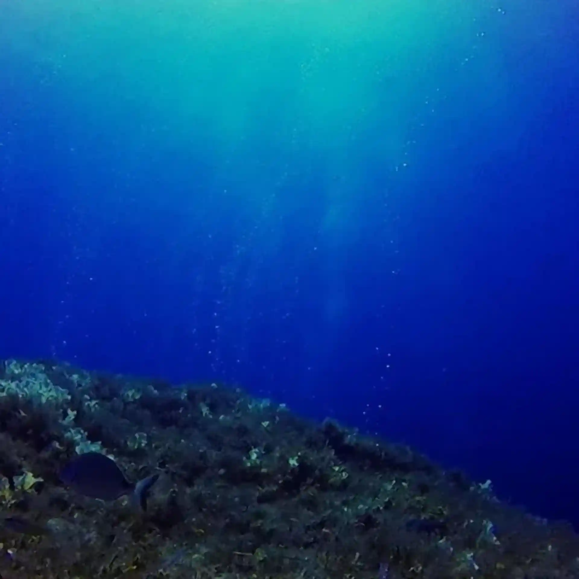 Dive site photo