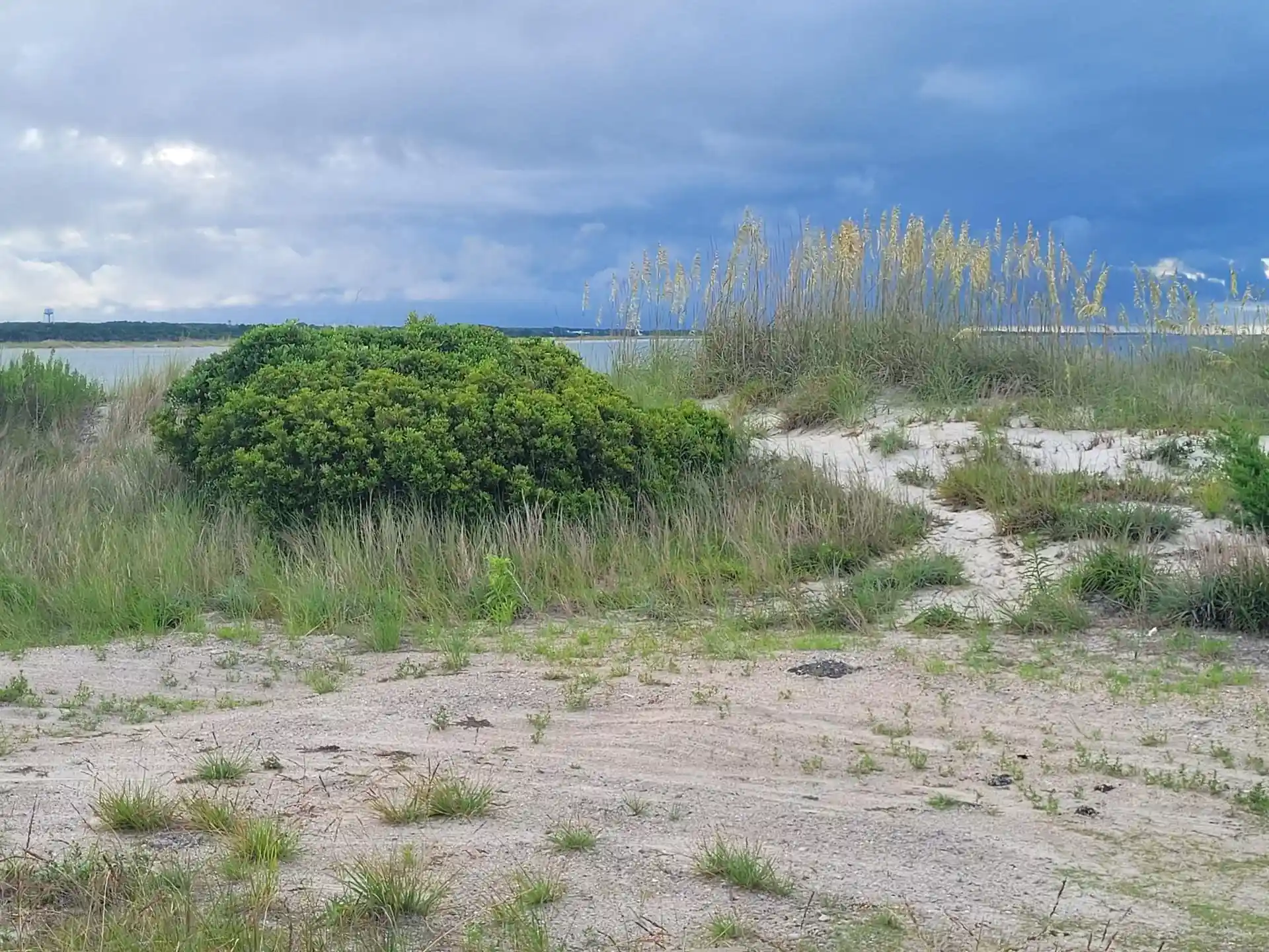 Dive site photo
