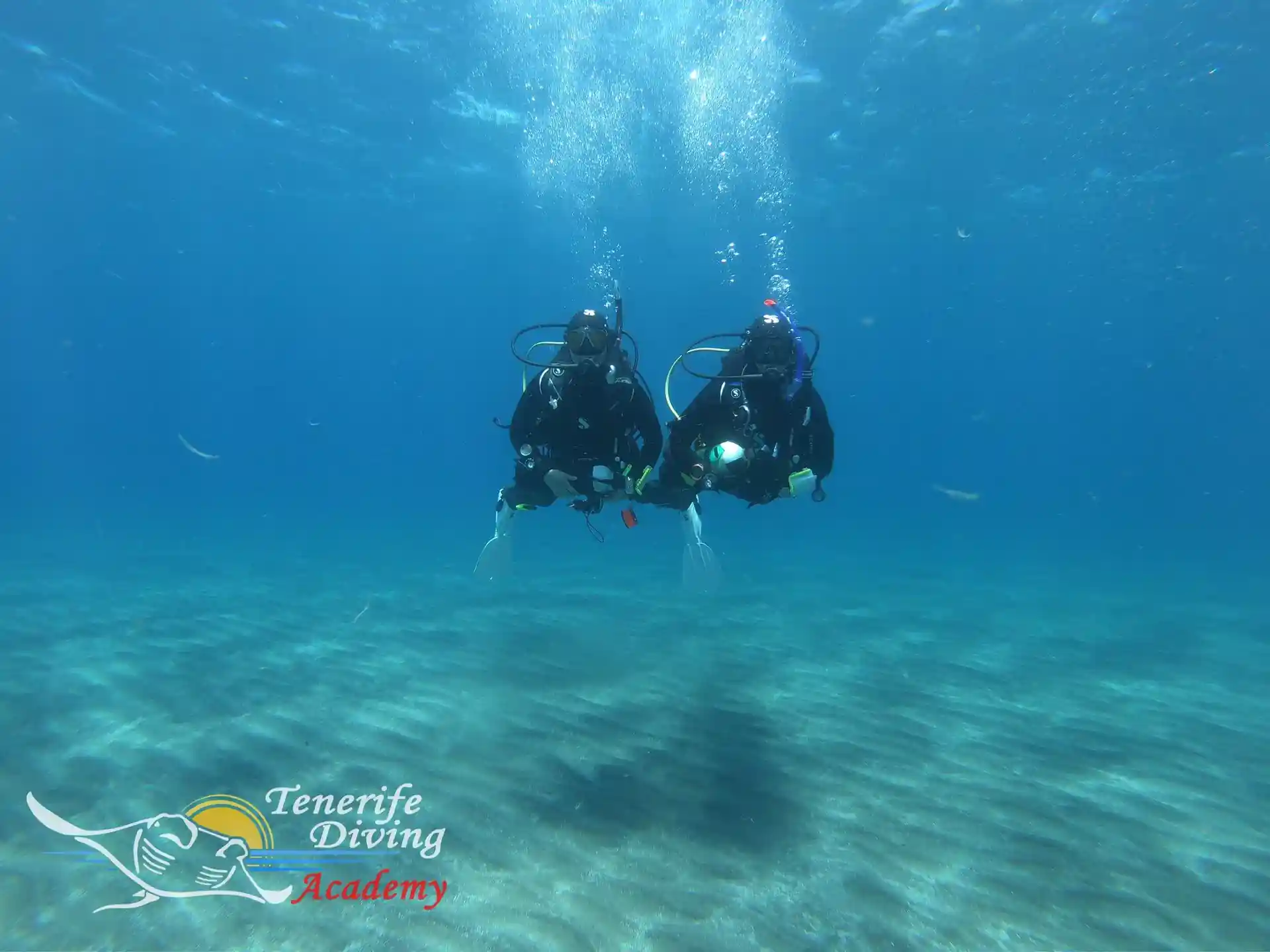 Dive site photo