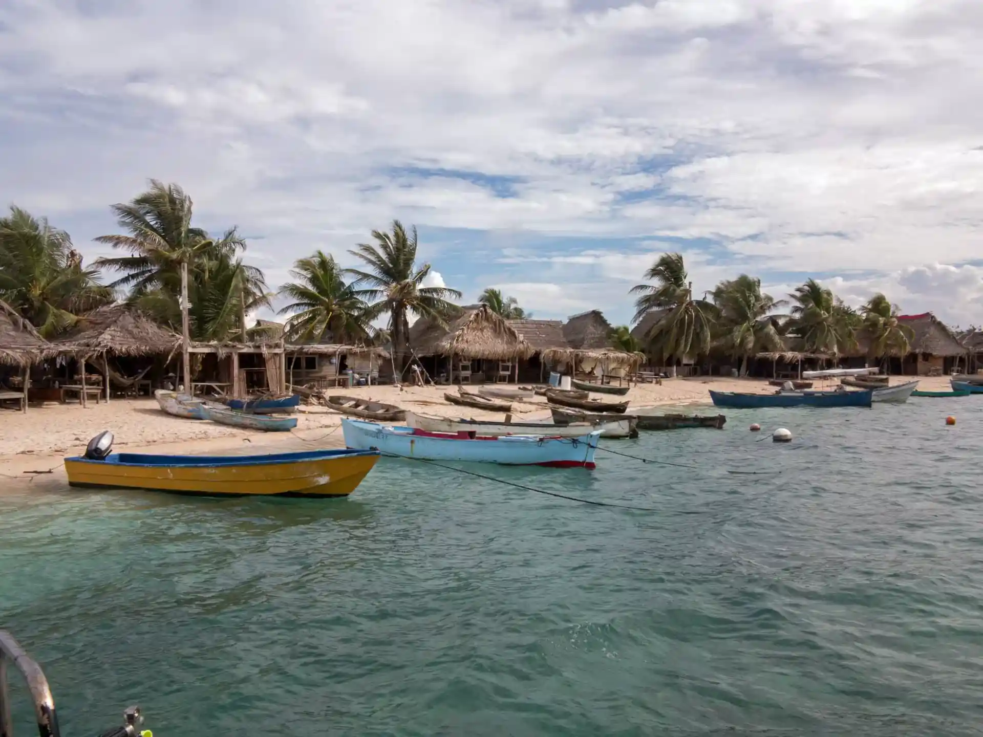 Foto de la actividad