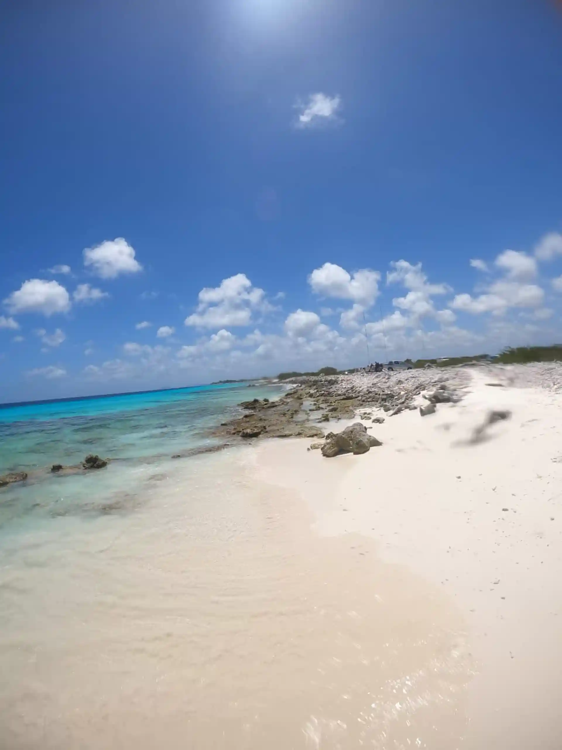 Dive site photo