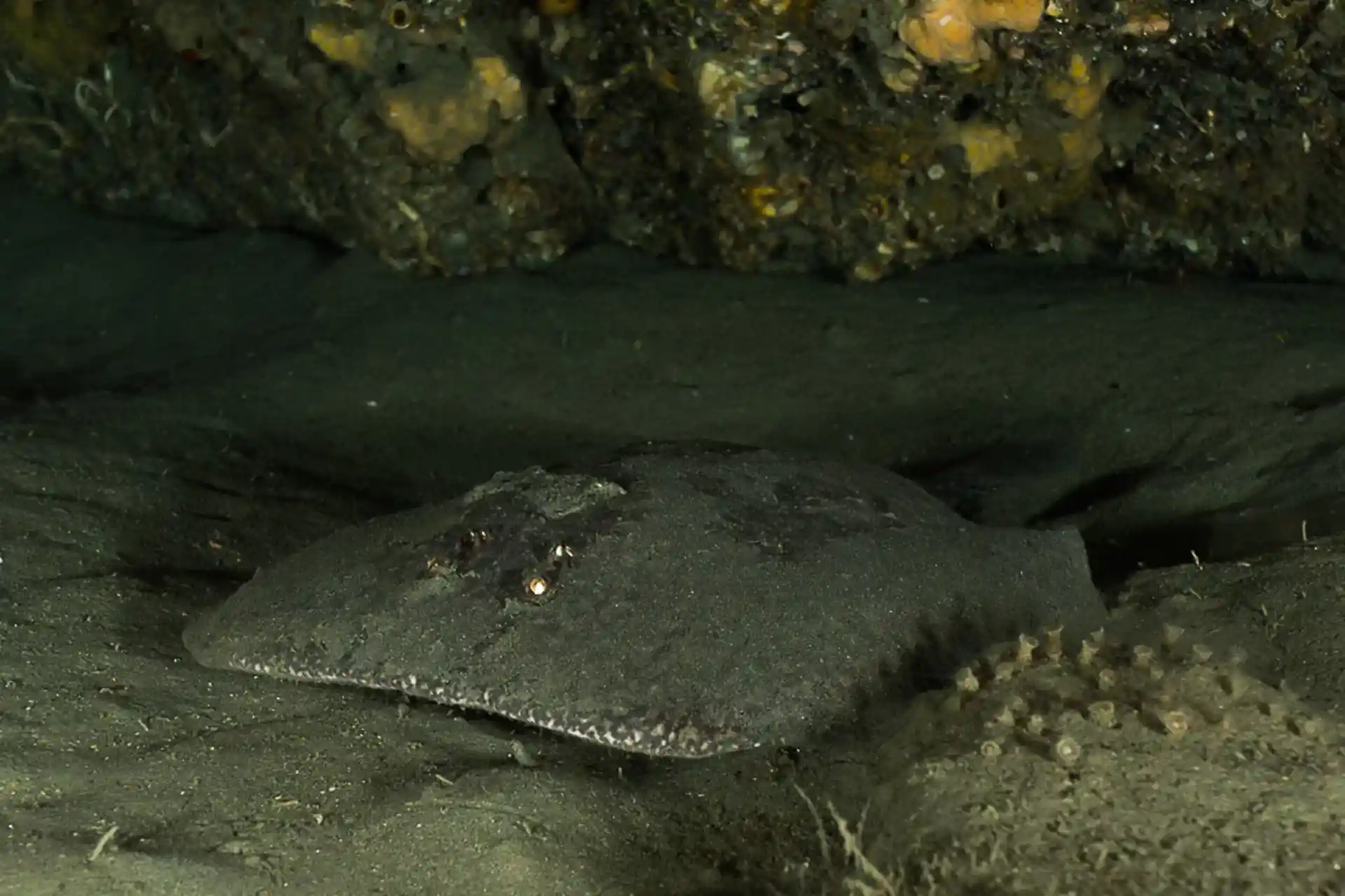 Dive site photo