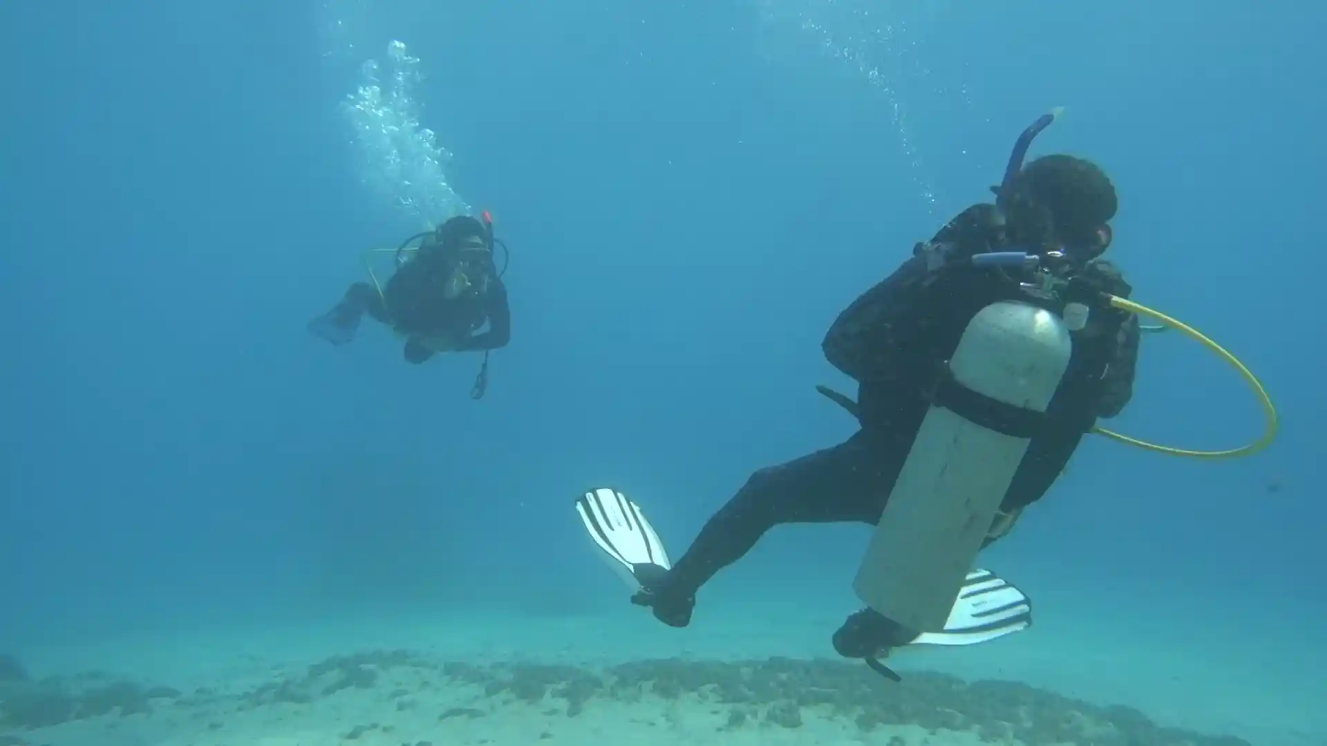 Dive shop photo
