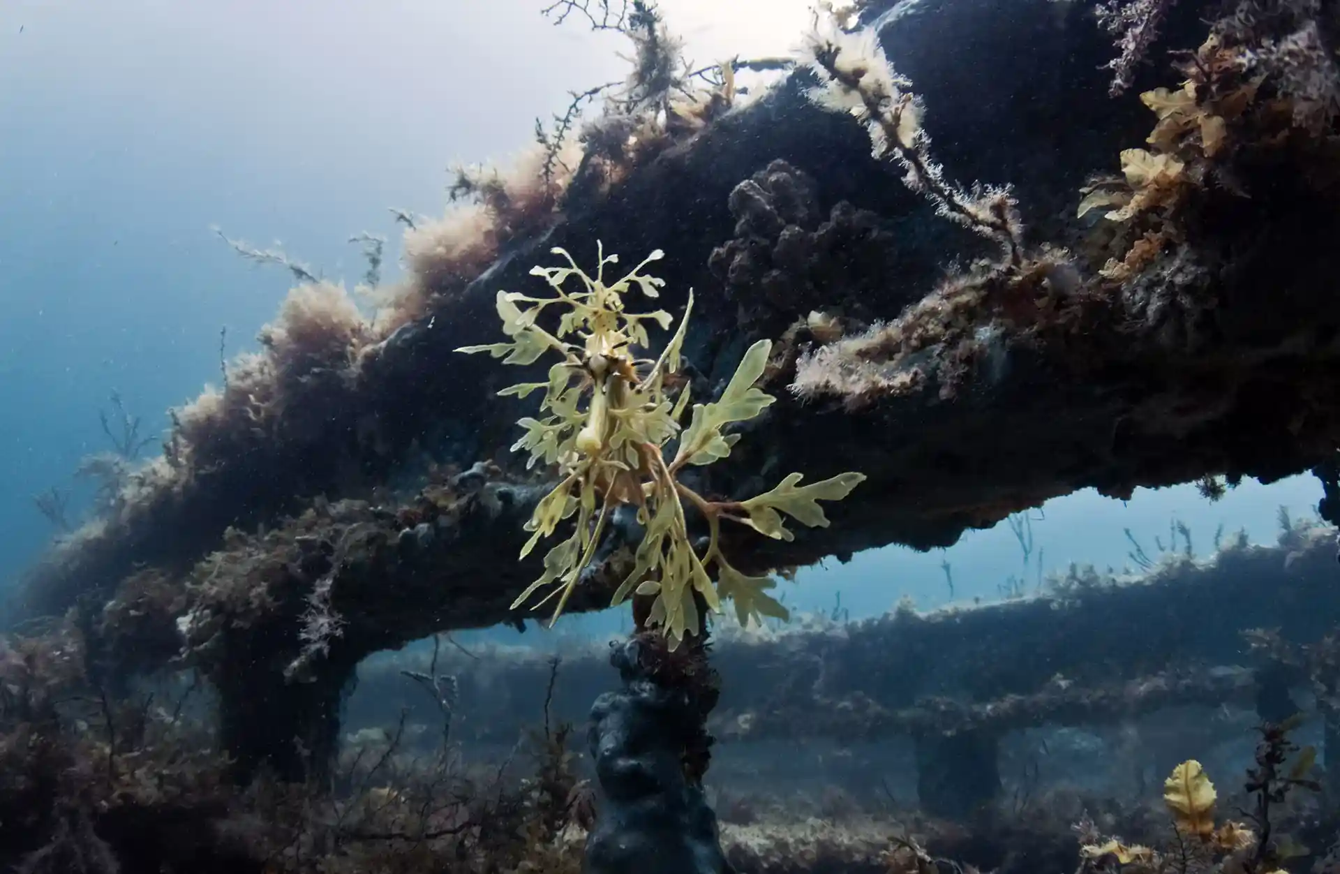 Dive site photo