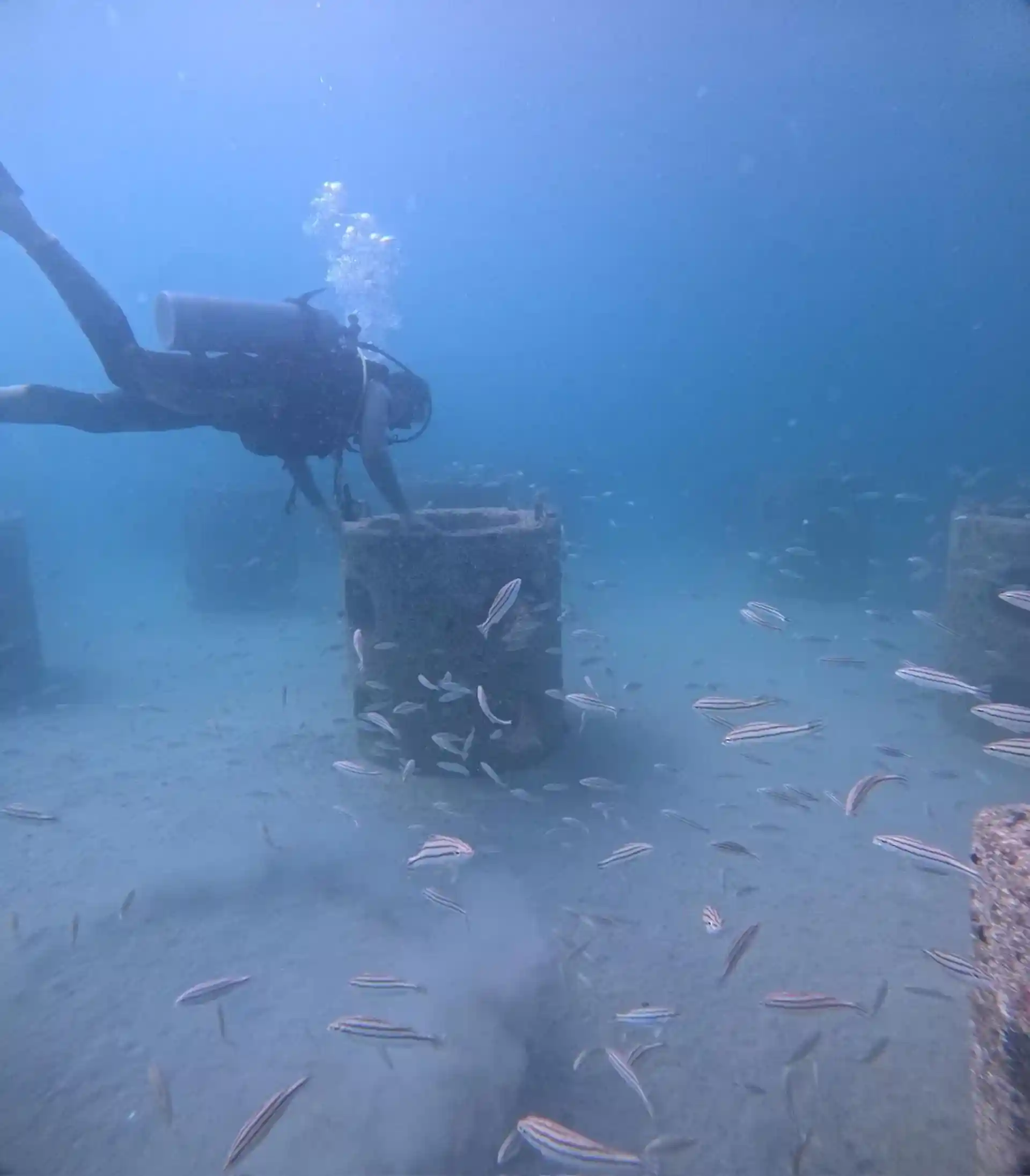 Dive site photo