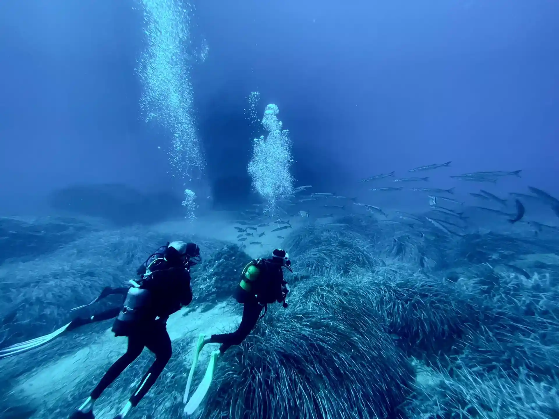 Dive site photo