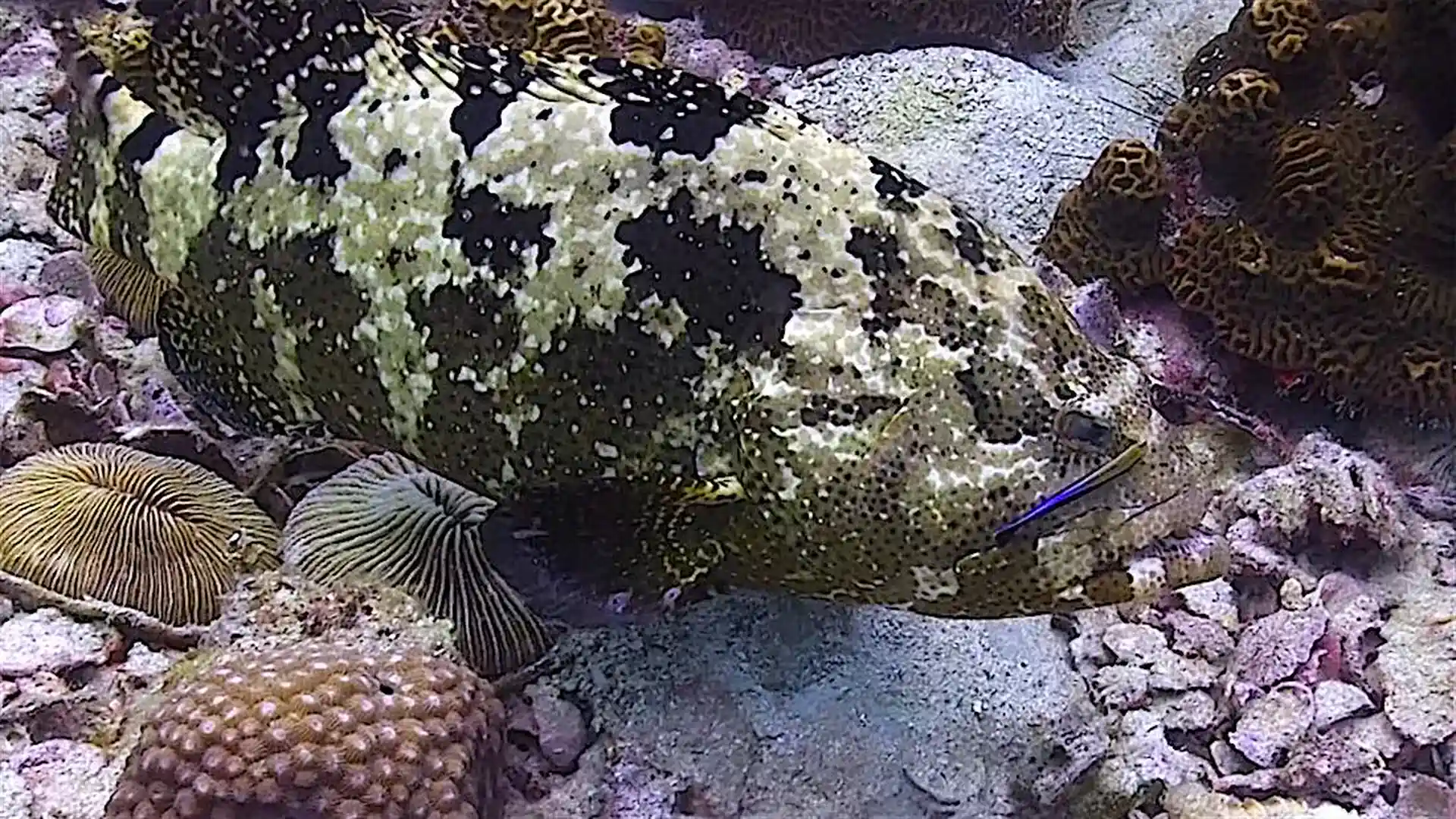 Dive site photo