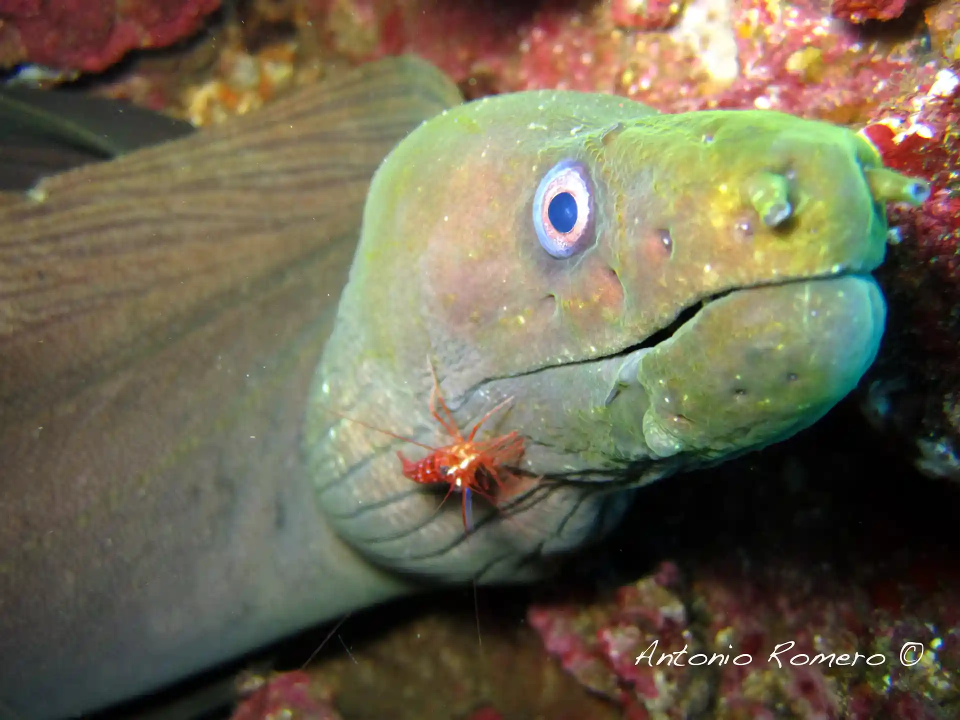 Dive shop photo