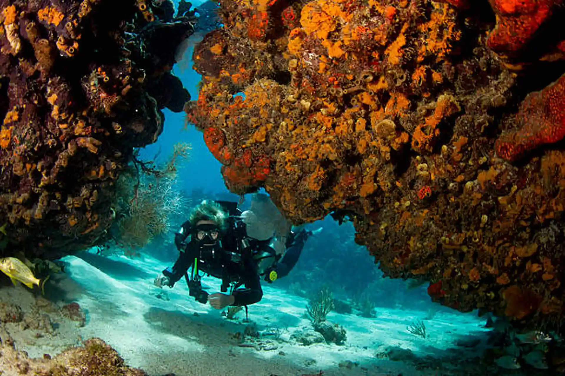 Dive shop photo