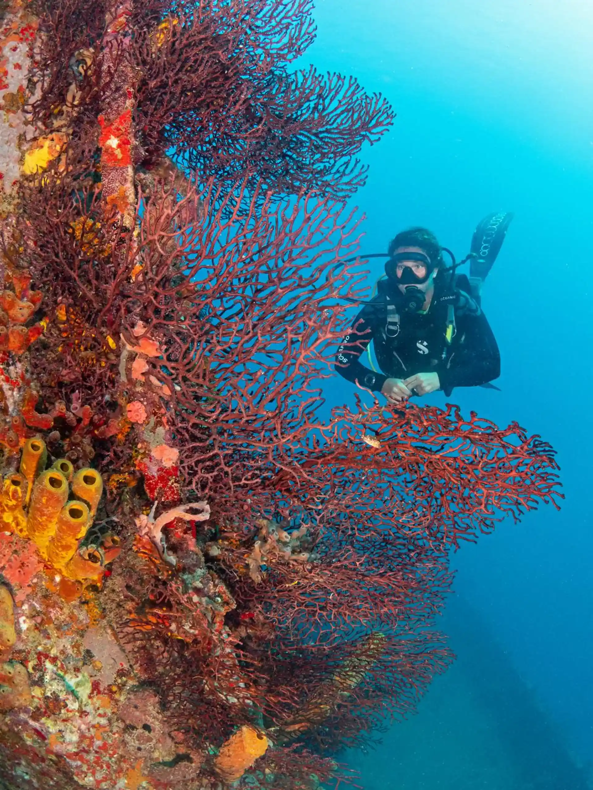Dive site photo