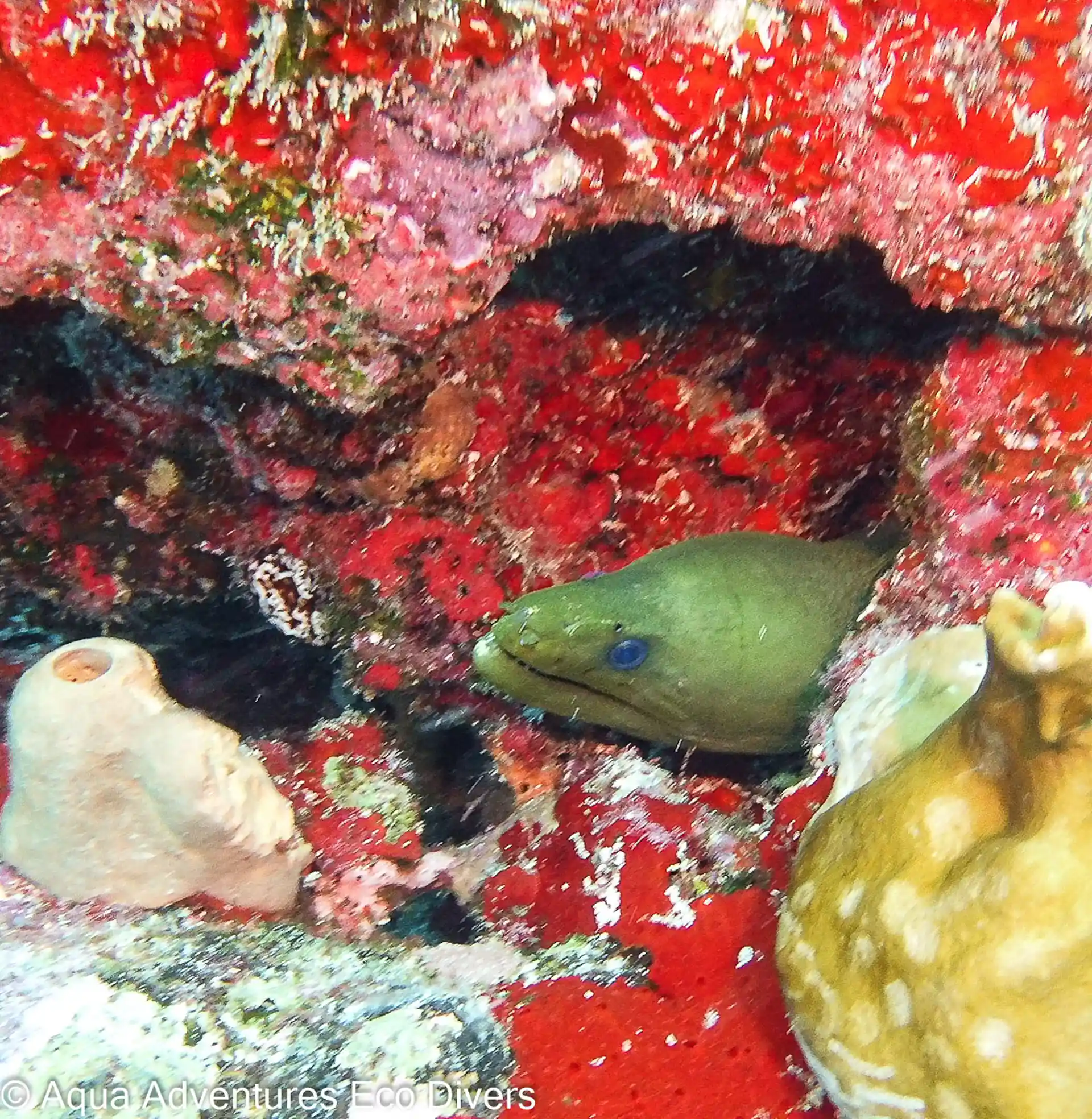 Dive site photo